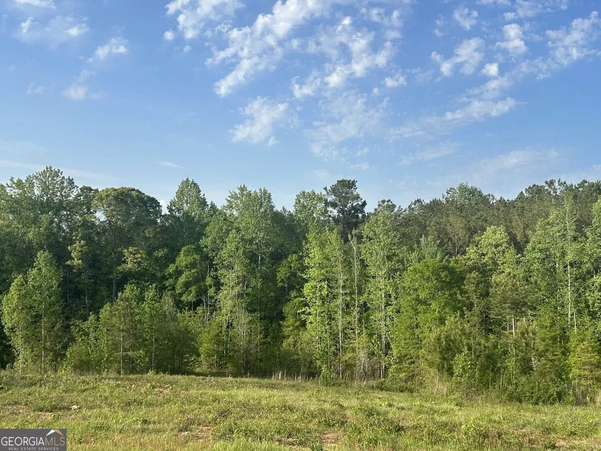0 Needmore Road - (345.37 Acres) — photo 4 of 39