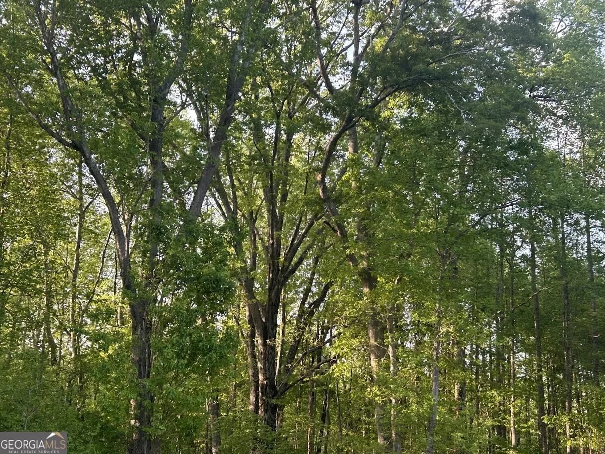 0 Needmore Road - (345.37 Acres) — photo 35 of 39