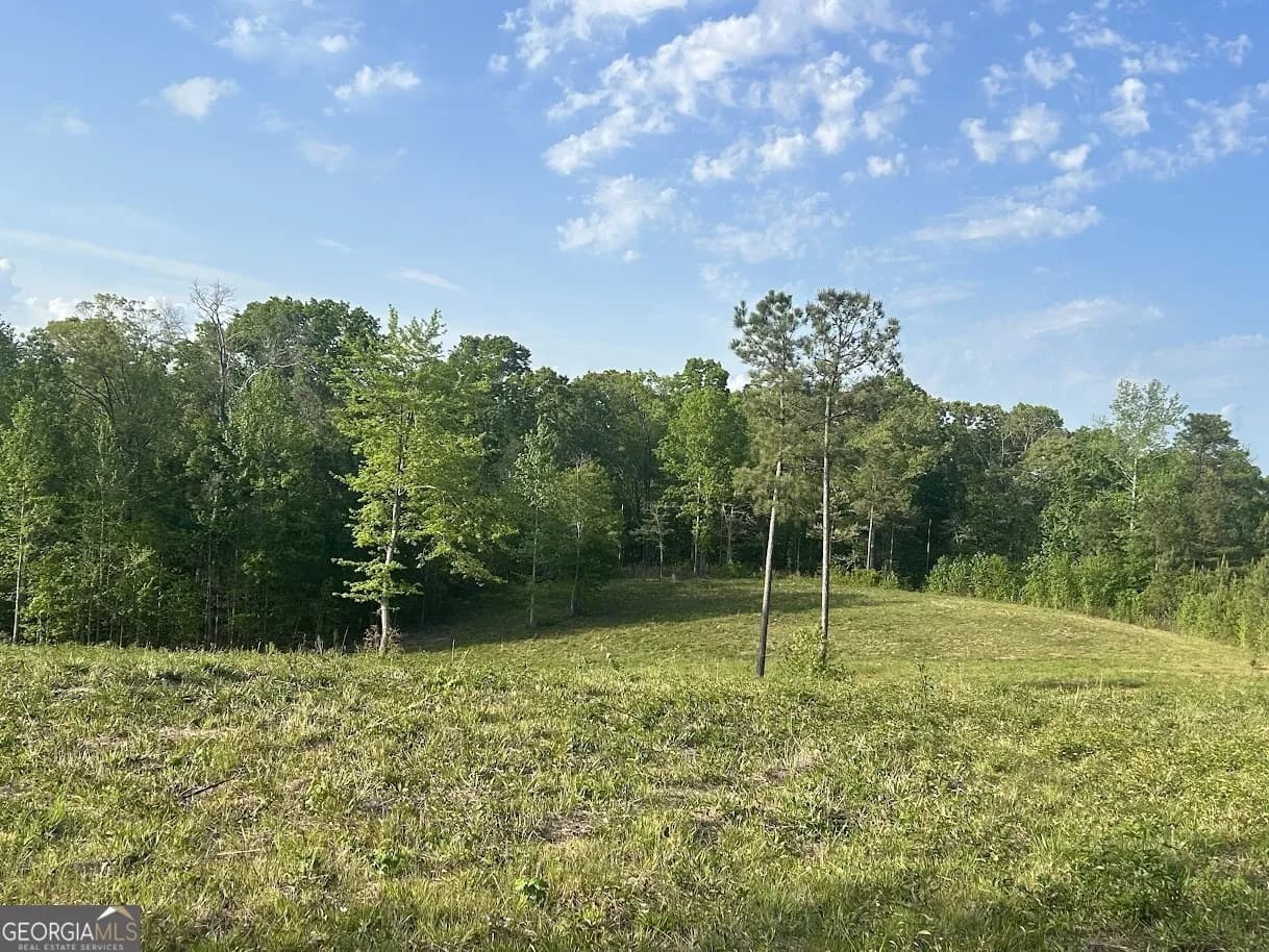0 Needmore Road - (345.37 Acres) — photo 38 of 39