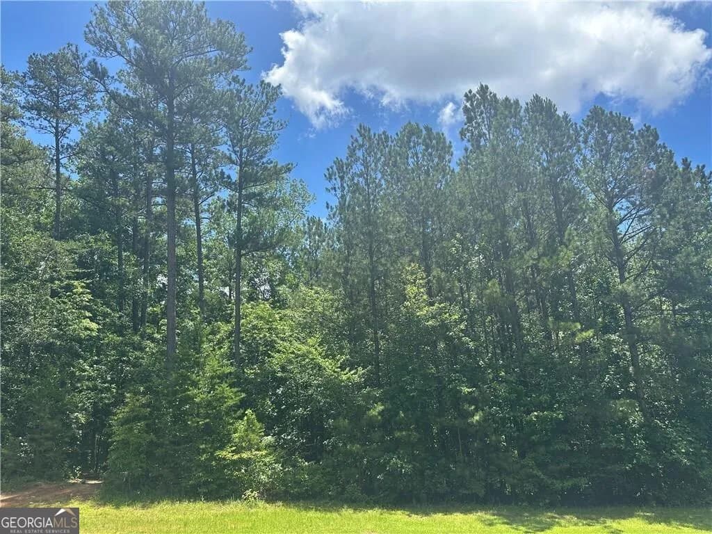 0 Elsberry Mountain Rd — photo 3 of 4