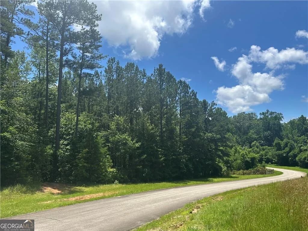 0 Elsberry Mountain Rd — photo 2 of 4