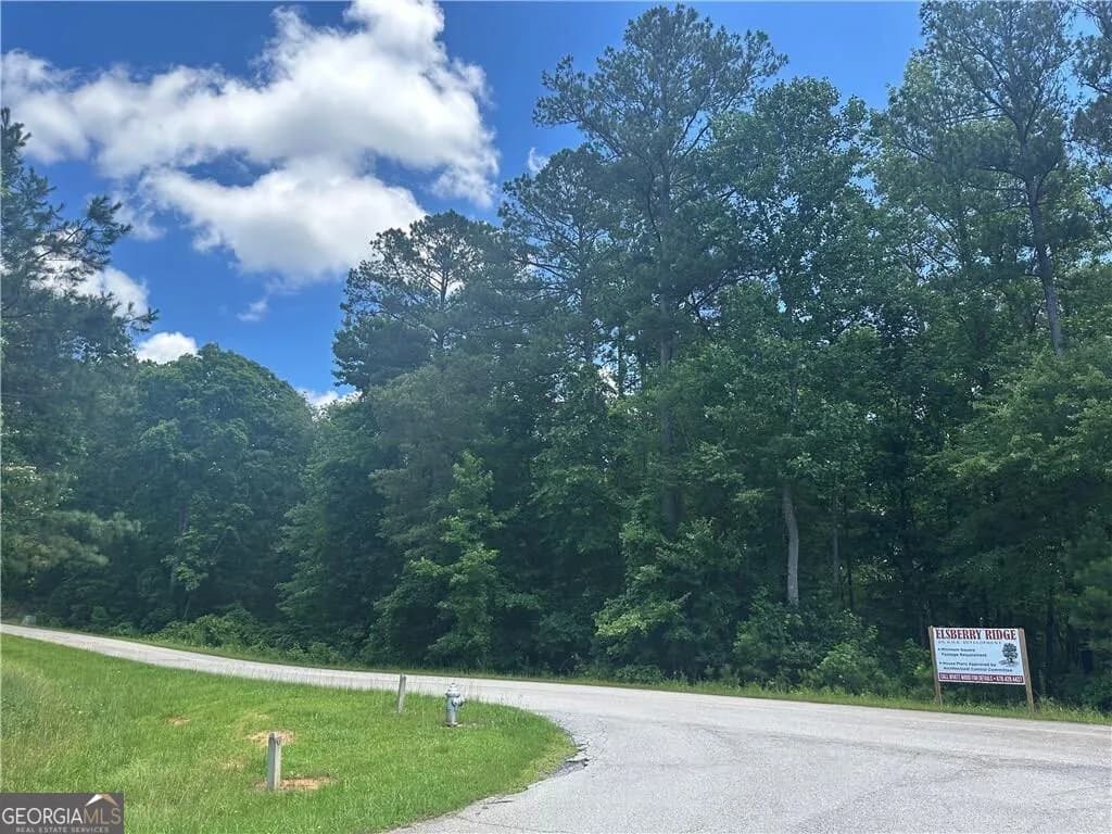 0 Elsberry Mountain Rd — photo 4 of 5