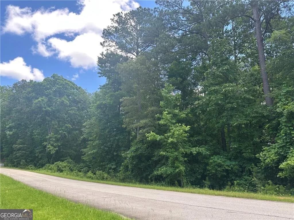 0 Elsberry Mountain Rd — photo 2 of 5