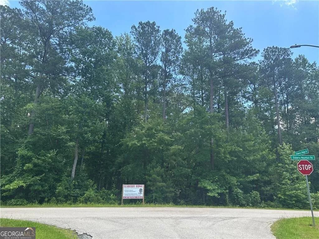 0 Elsberry Mountain Rd — photo 3 of 5