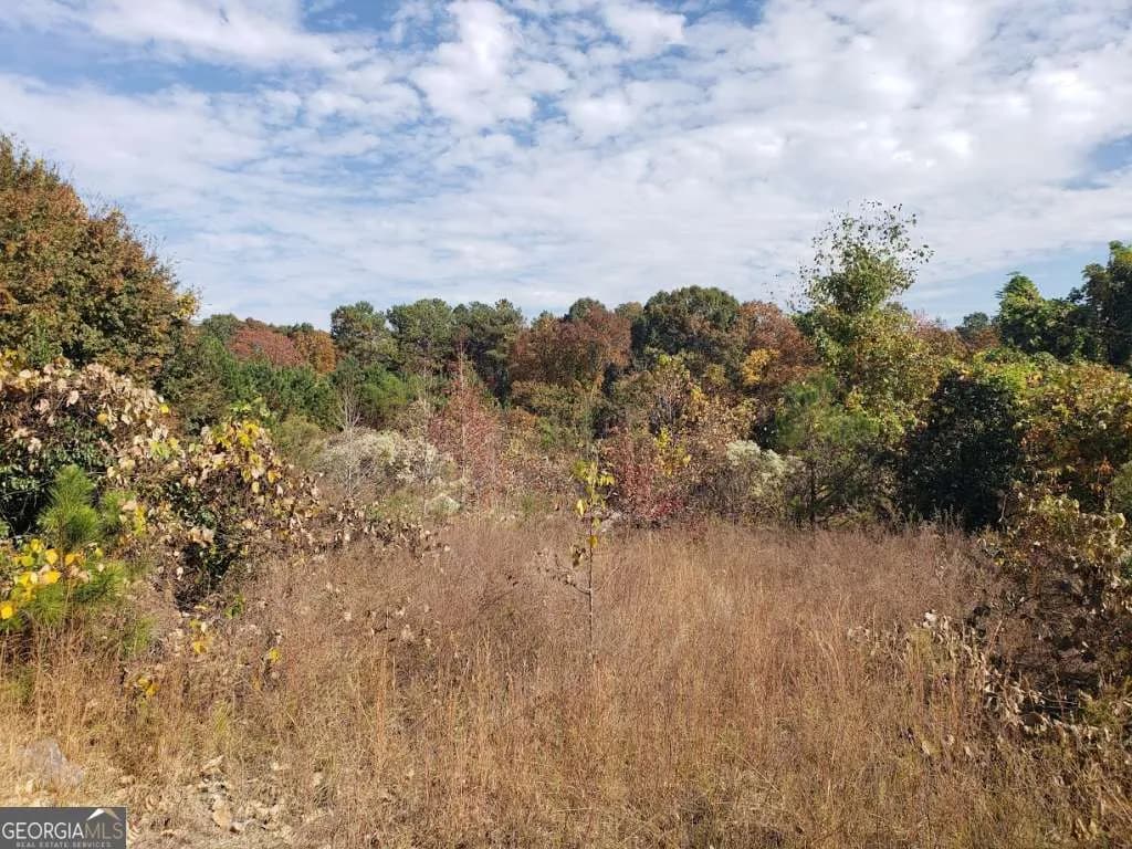 3340 Hwy 92 Fairburn Rd — photo 3 of 3