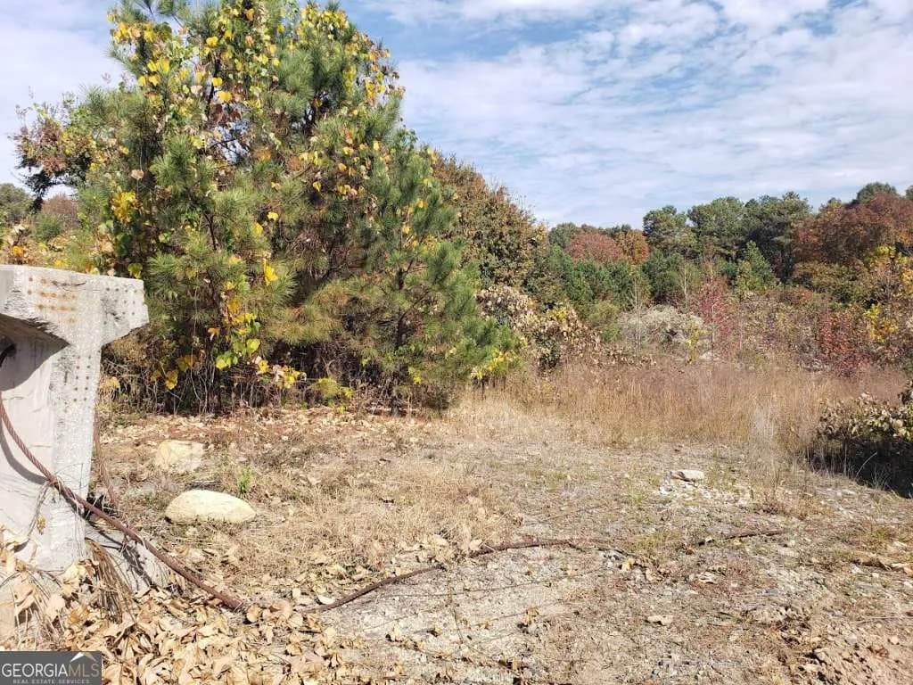 3340 Hwy 92 Fairburn Rd — photo 2 of 3
