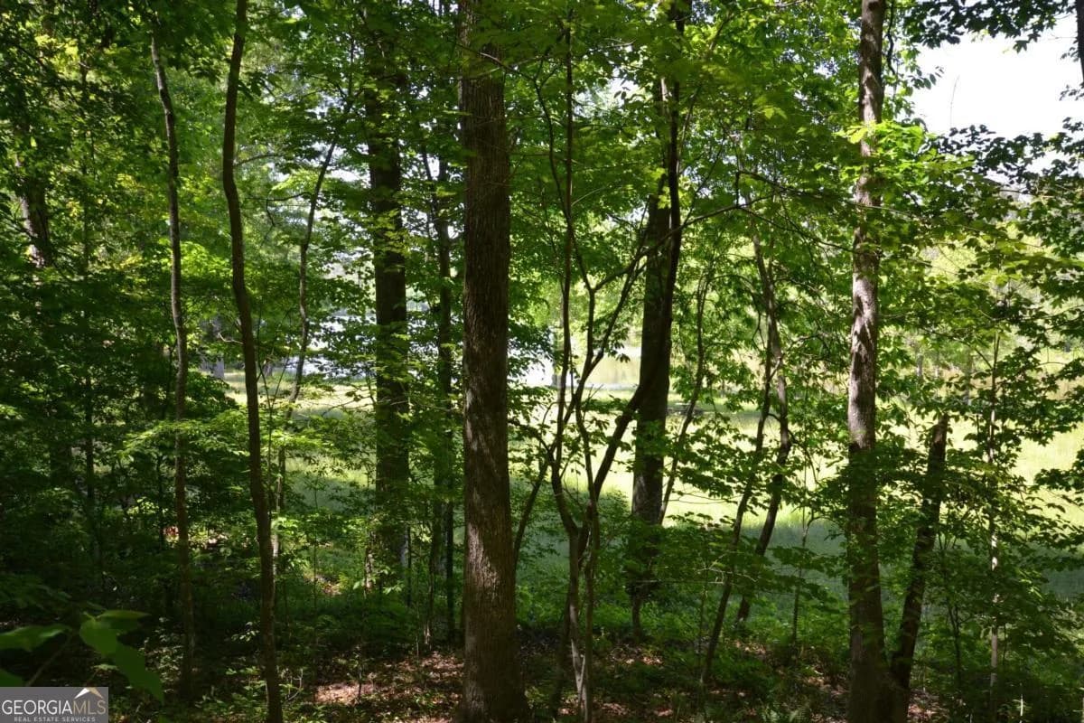 5960 Georgia Highway 120 — photo 16 of 40