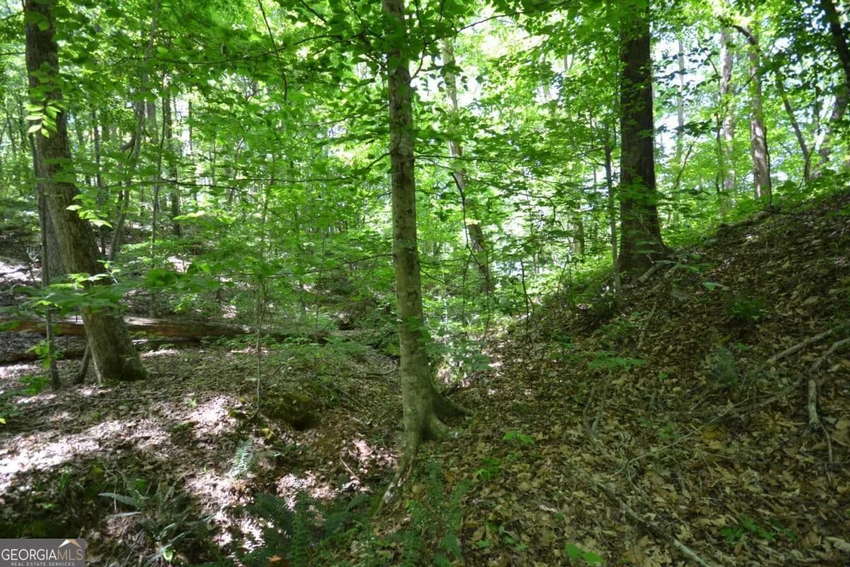 5960 Georgia Highway 120 — photo 15 of 40