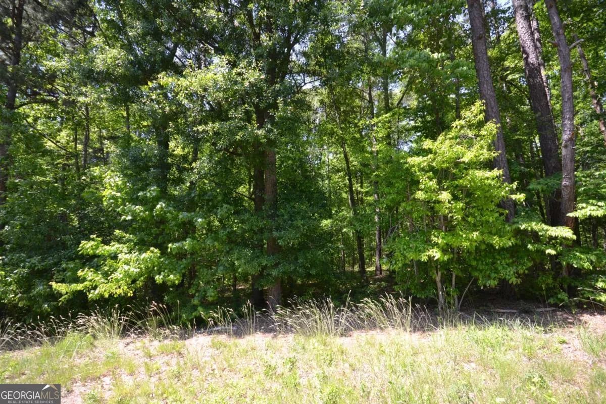 5960 Georgia Highway 120 — photo 33 of 40