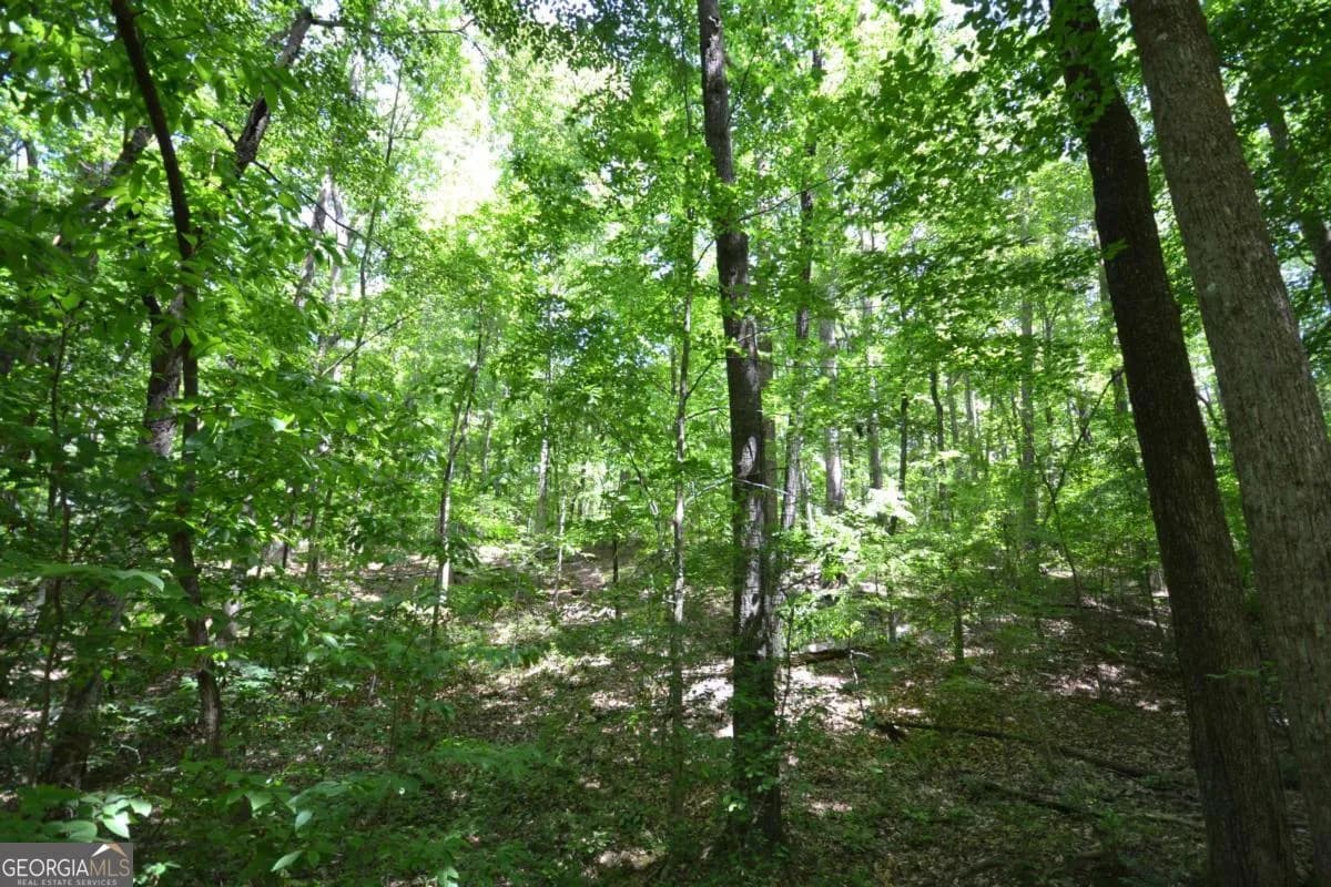 5960 Georgia Highway 120 — photo 10 of 40