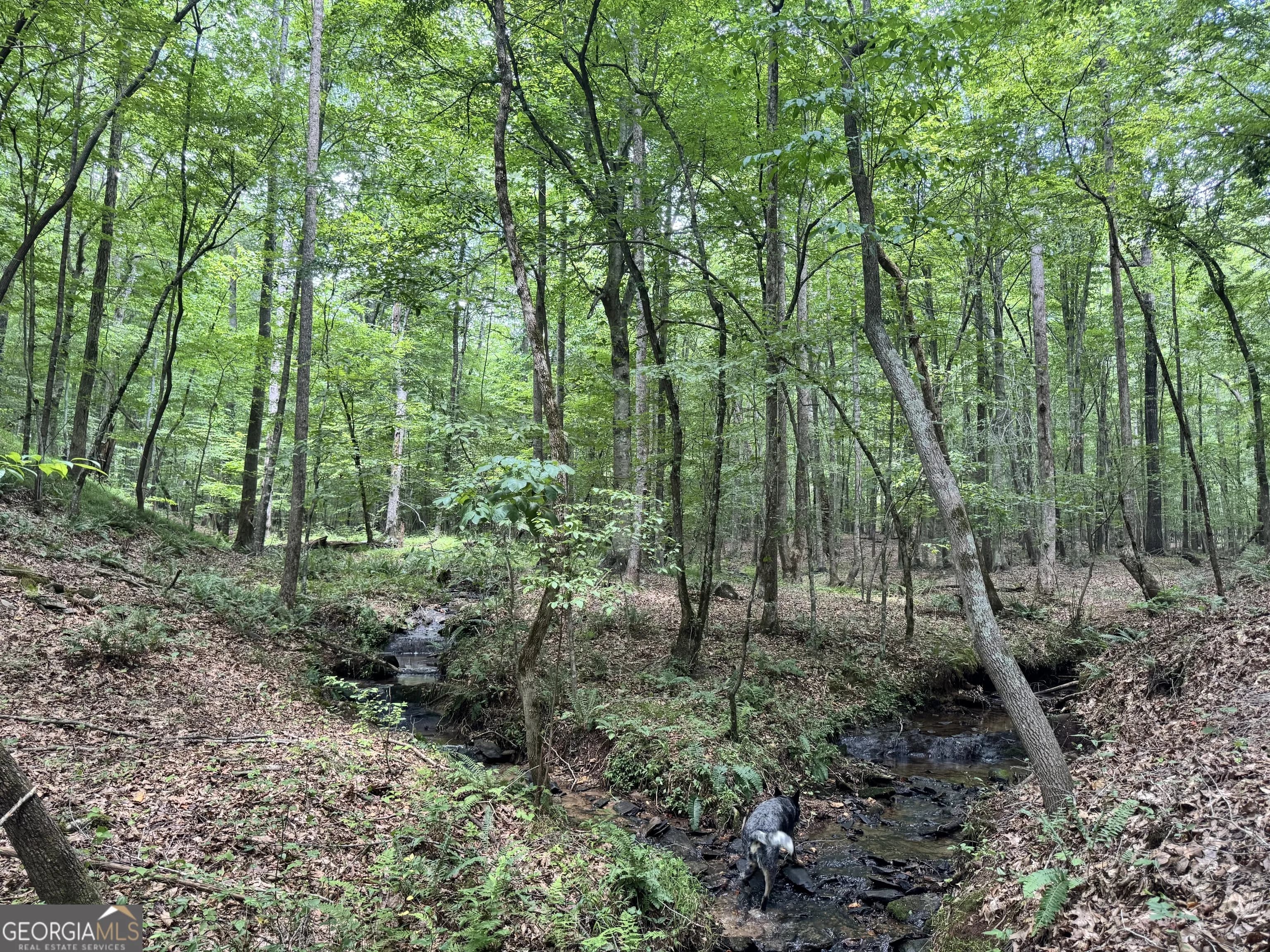 140+/- Ac Hwy 100, Franklin