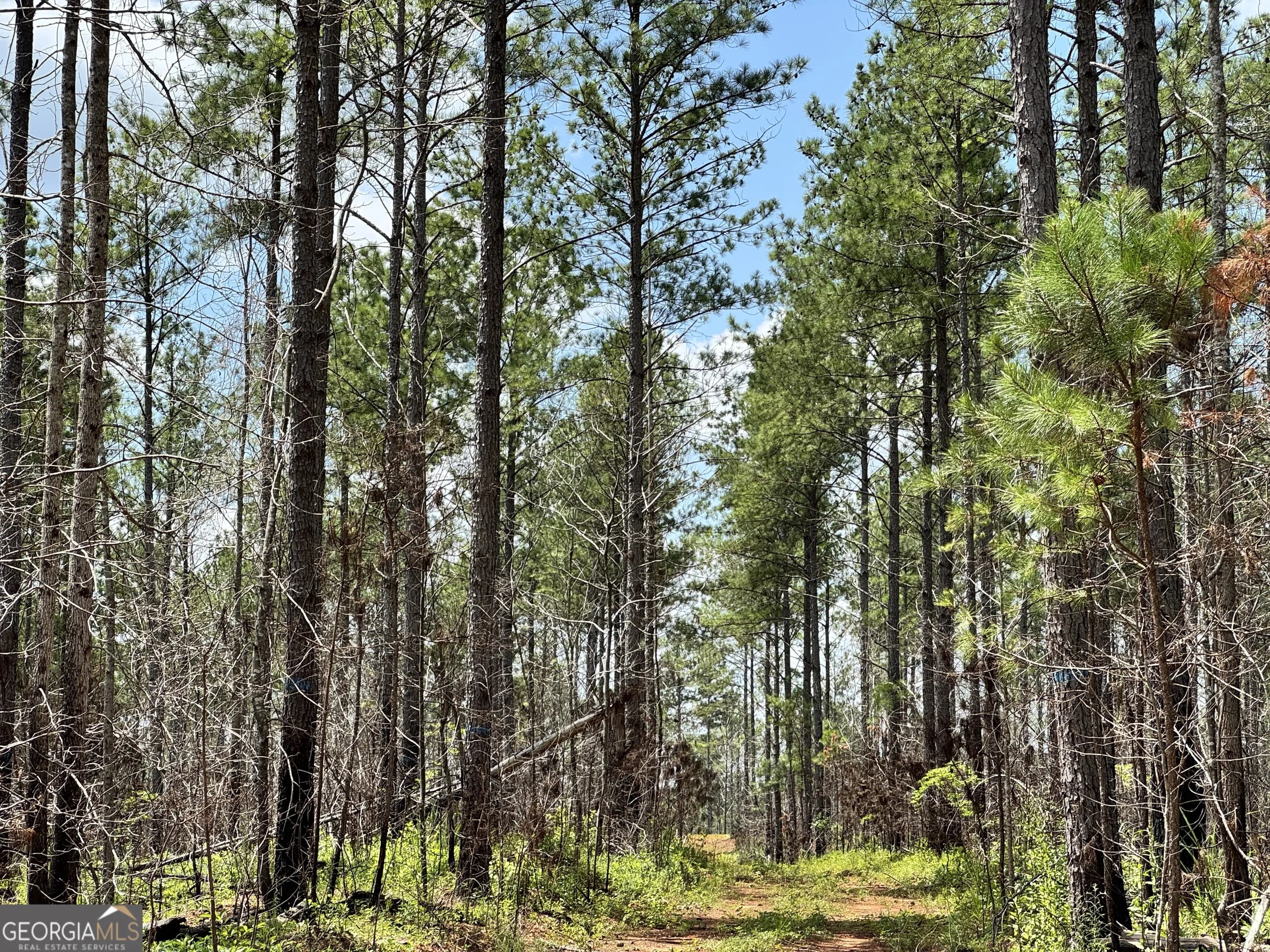 140+/- Ac Hwy 100 — photo 9 of 13