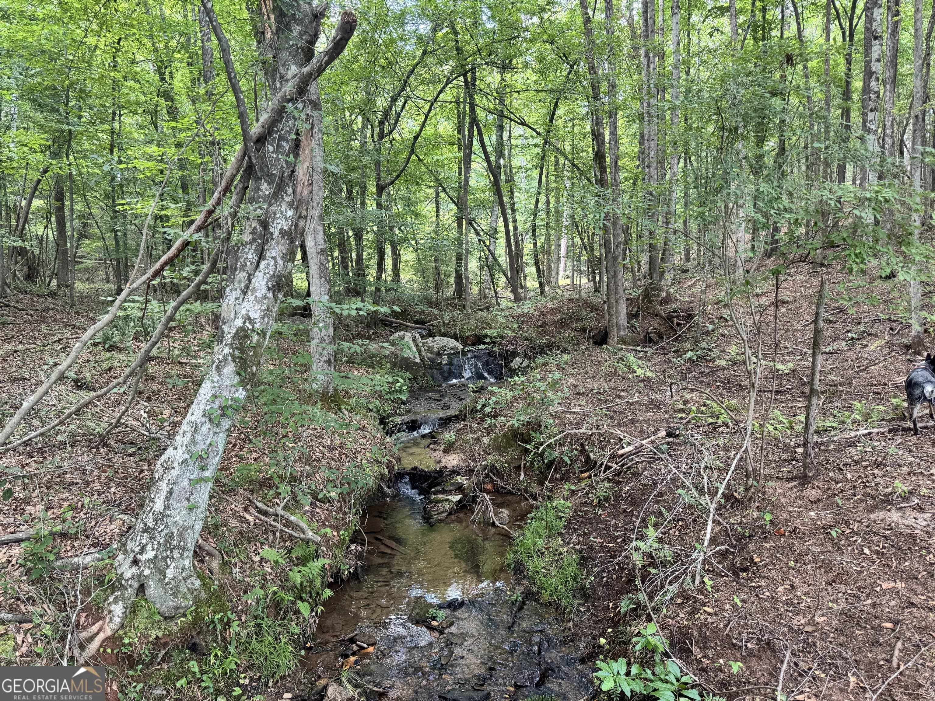 140+/- Ac Hwy 100 — photo 6 of 13