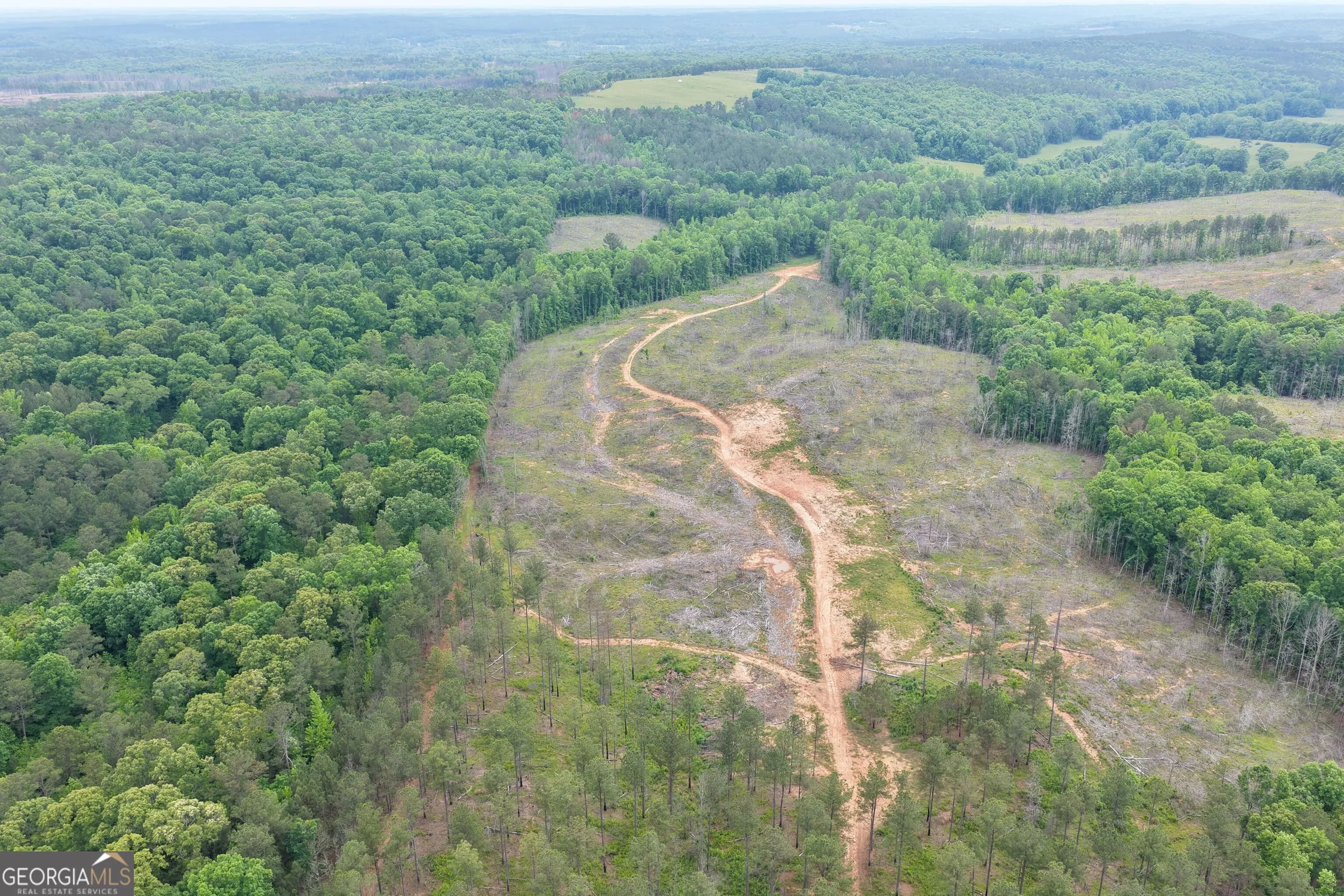 140+/- Ac Hwy 100 — photo 4 of 13