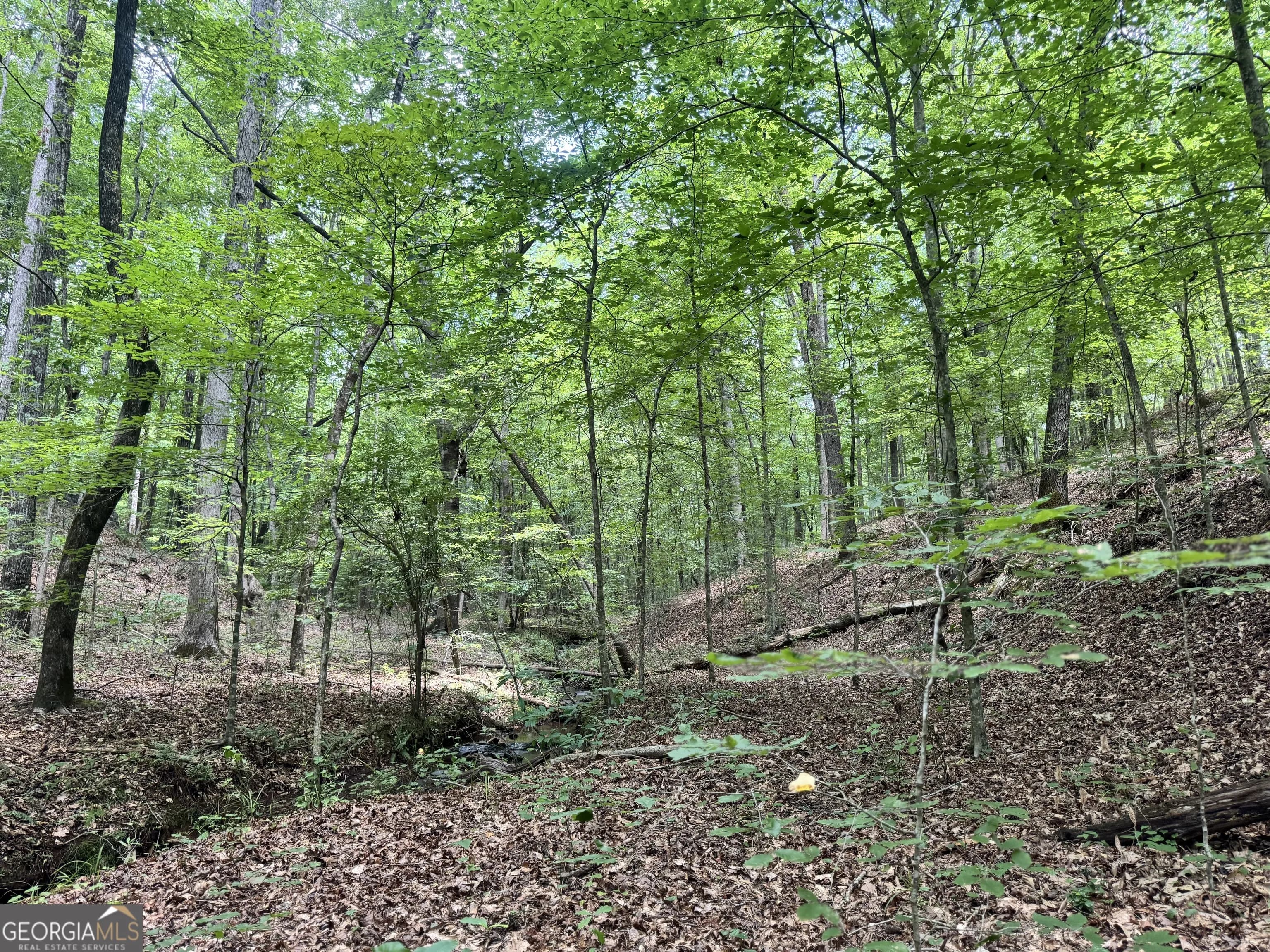 140+/- Ac Hwy 100 — photo 12 of 13