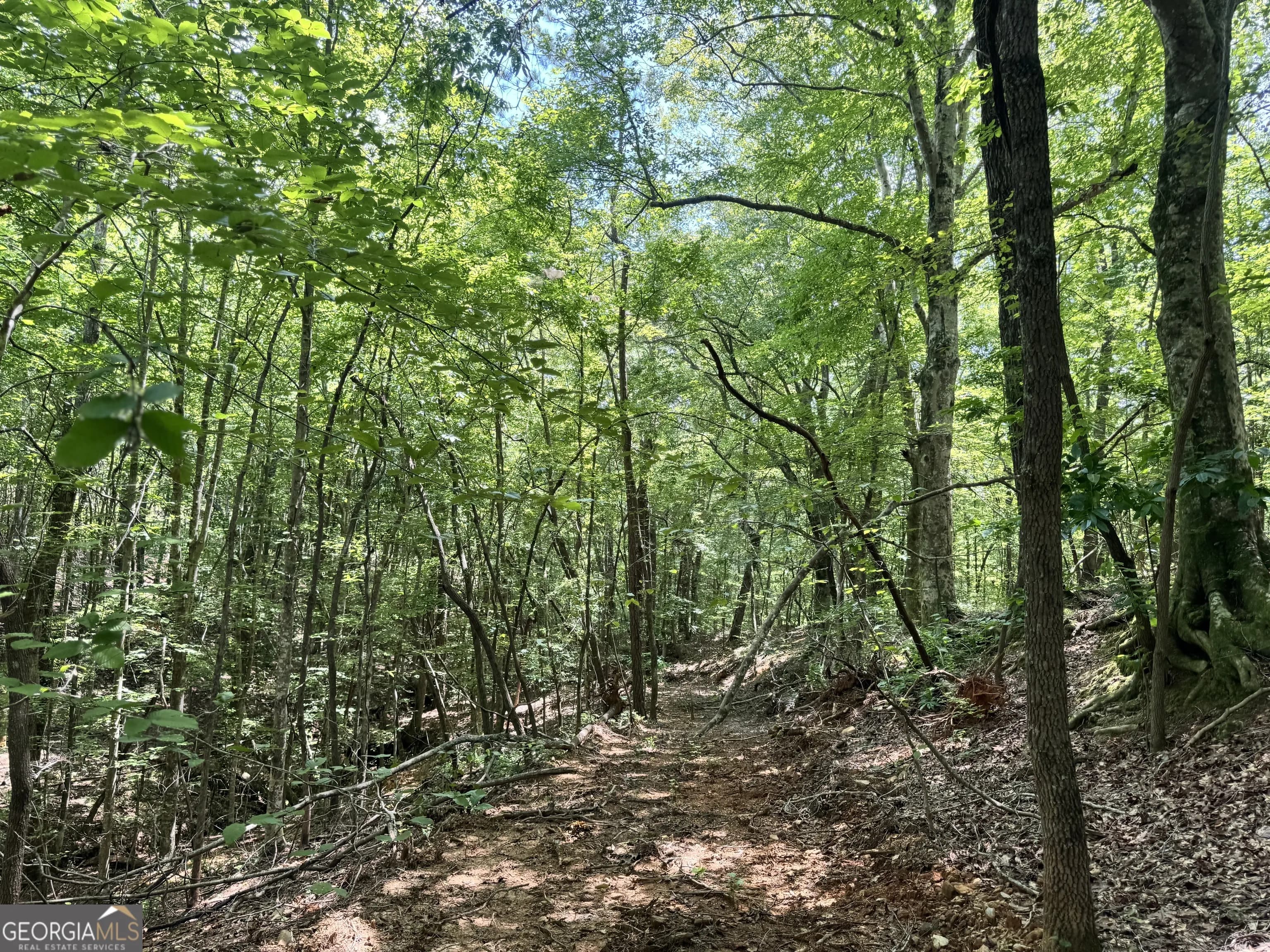 140+/- Ac Hwy 100 — photo 10 of 13