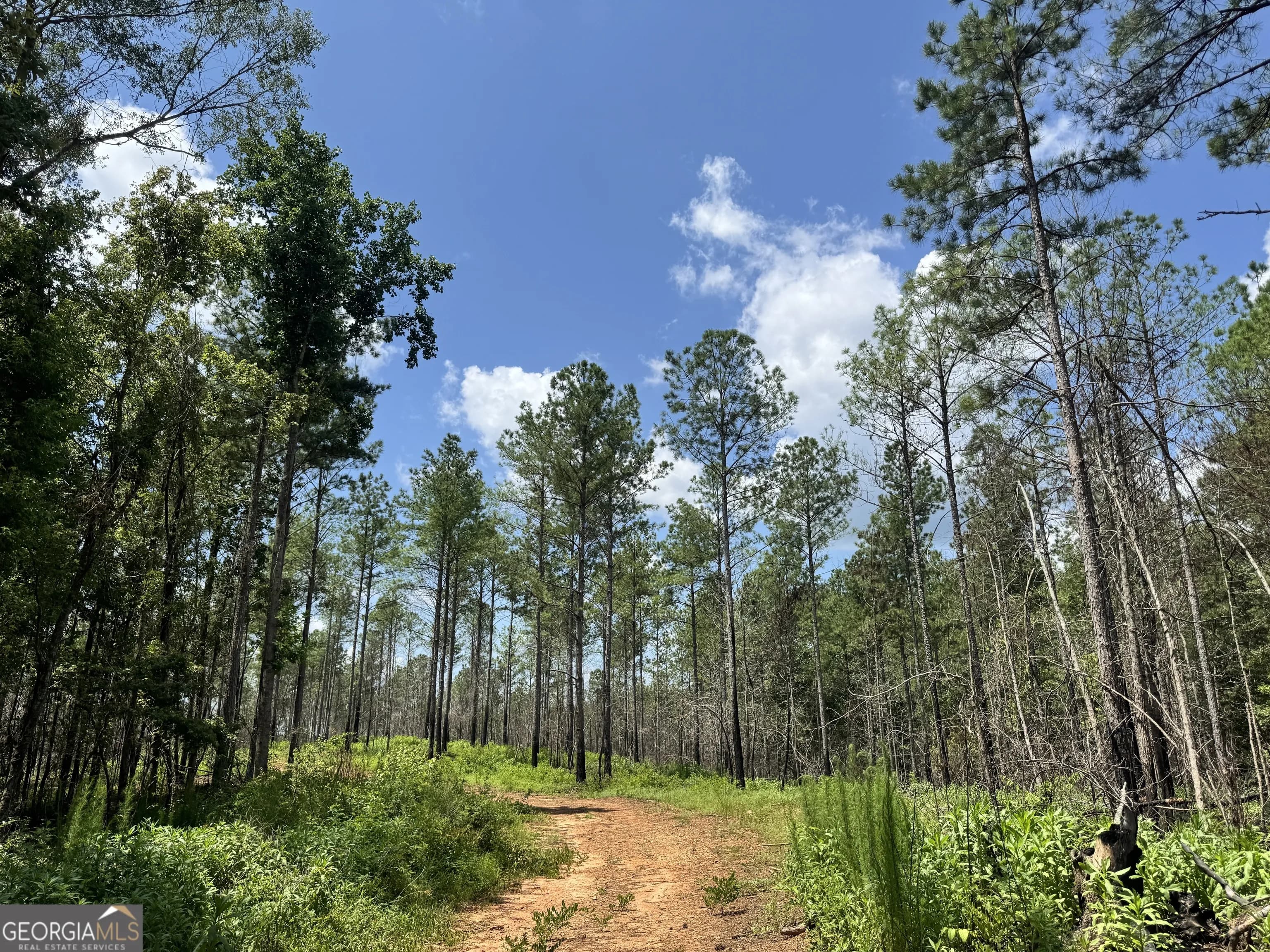 140+/- Ac Hwy 100 — photo 7 of 13