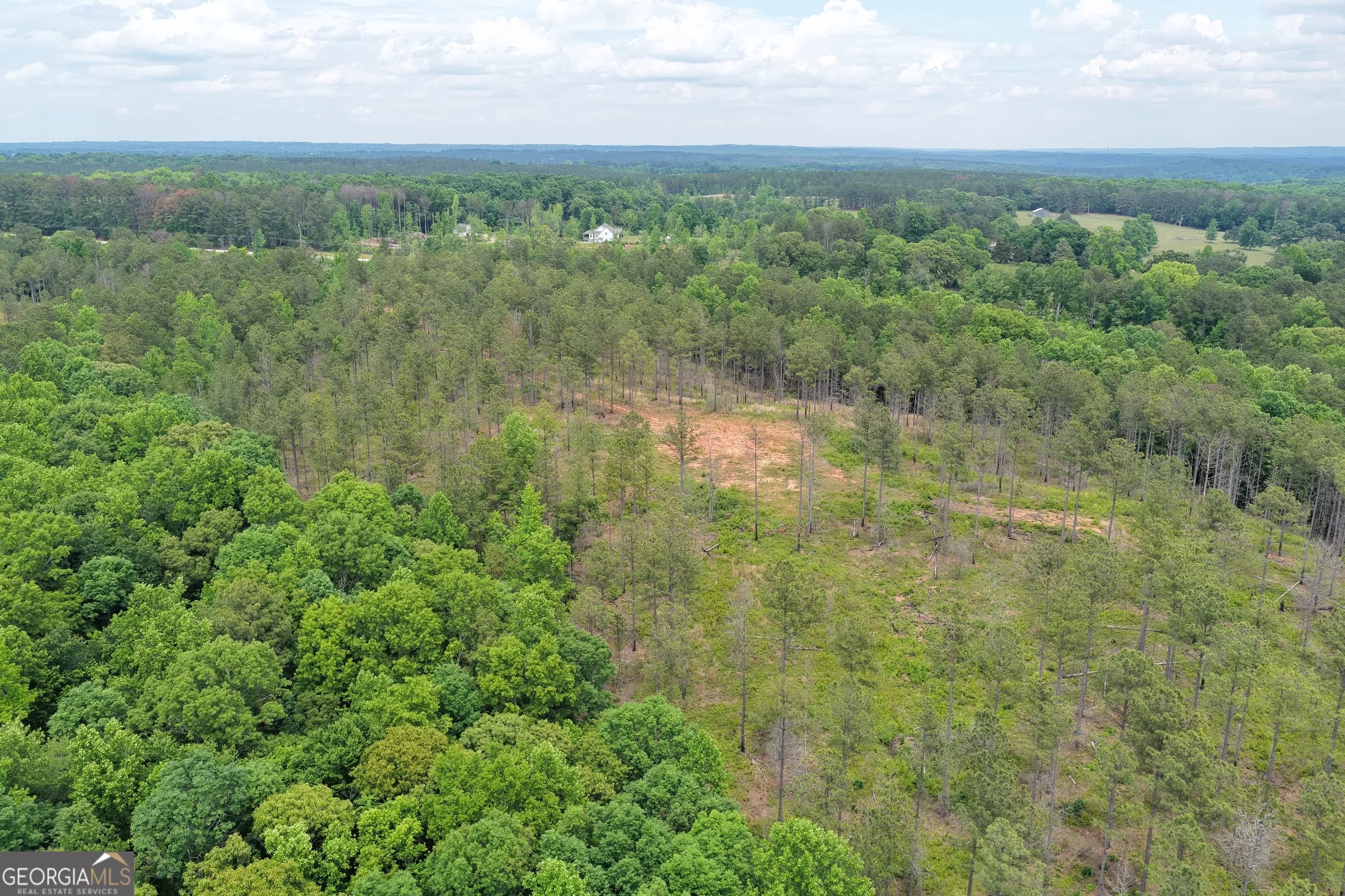 140+/- Ac Hwy 100 — photo 5 of 13
