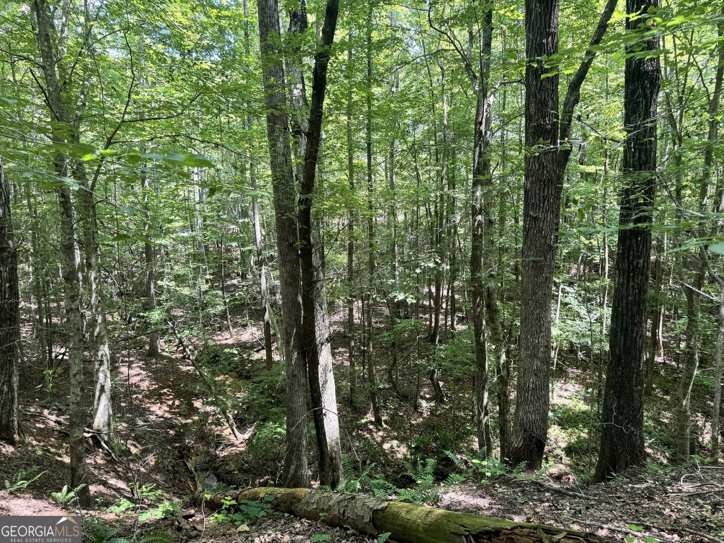 140+/- Ac Hwy 100 — photo 11 of 13
