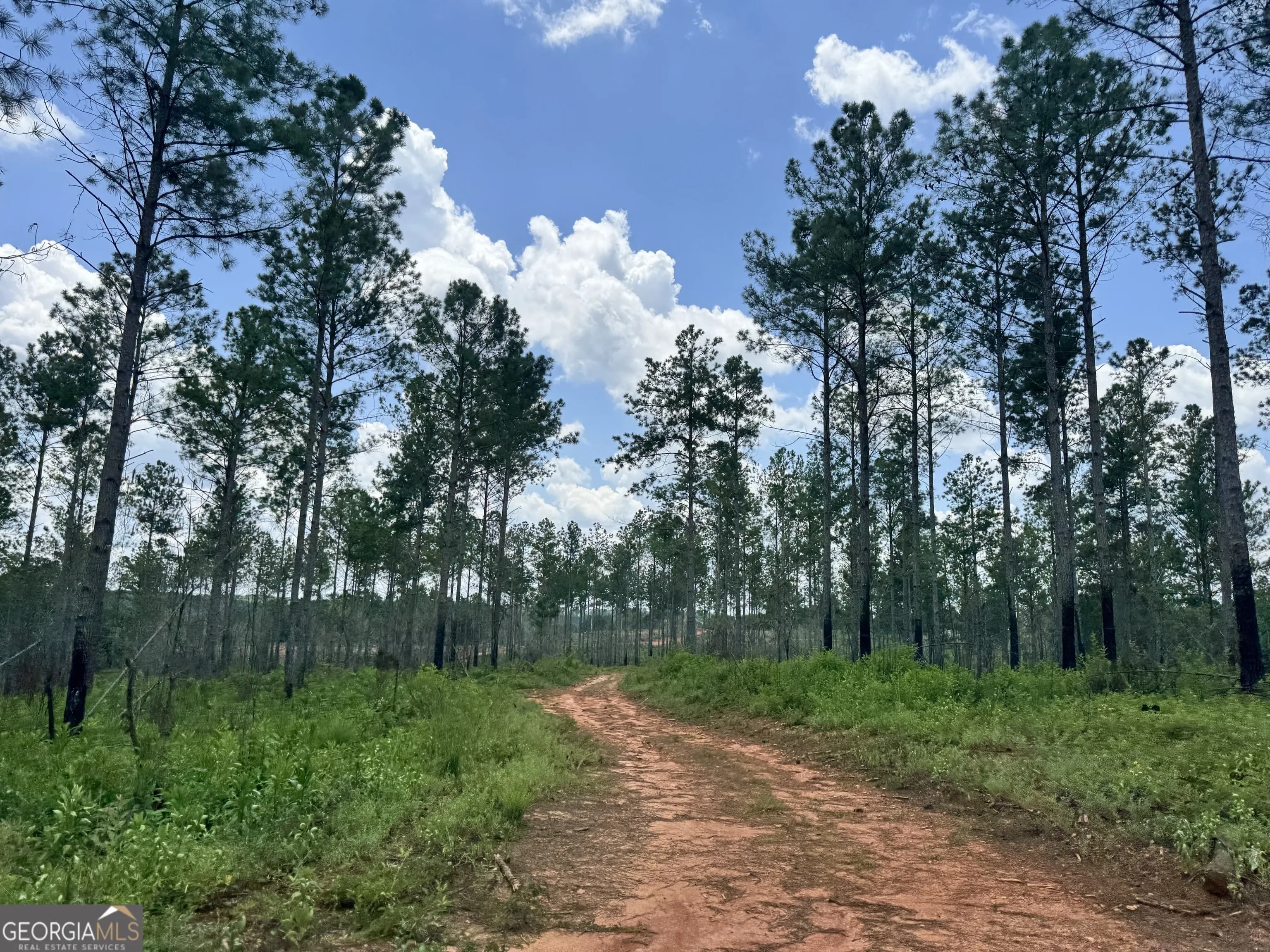 319 +/- Ac Hwy 100 — photo 10 of 15