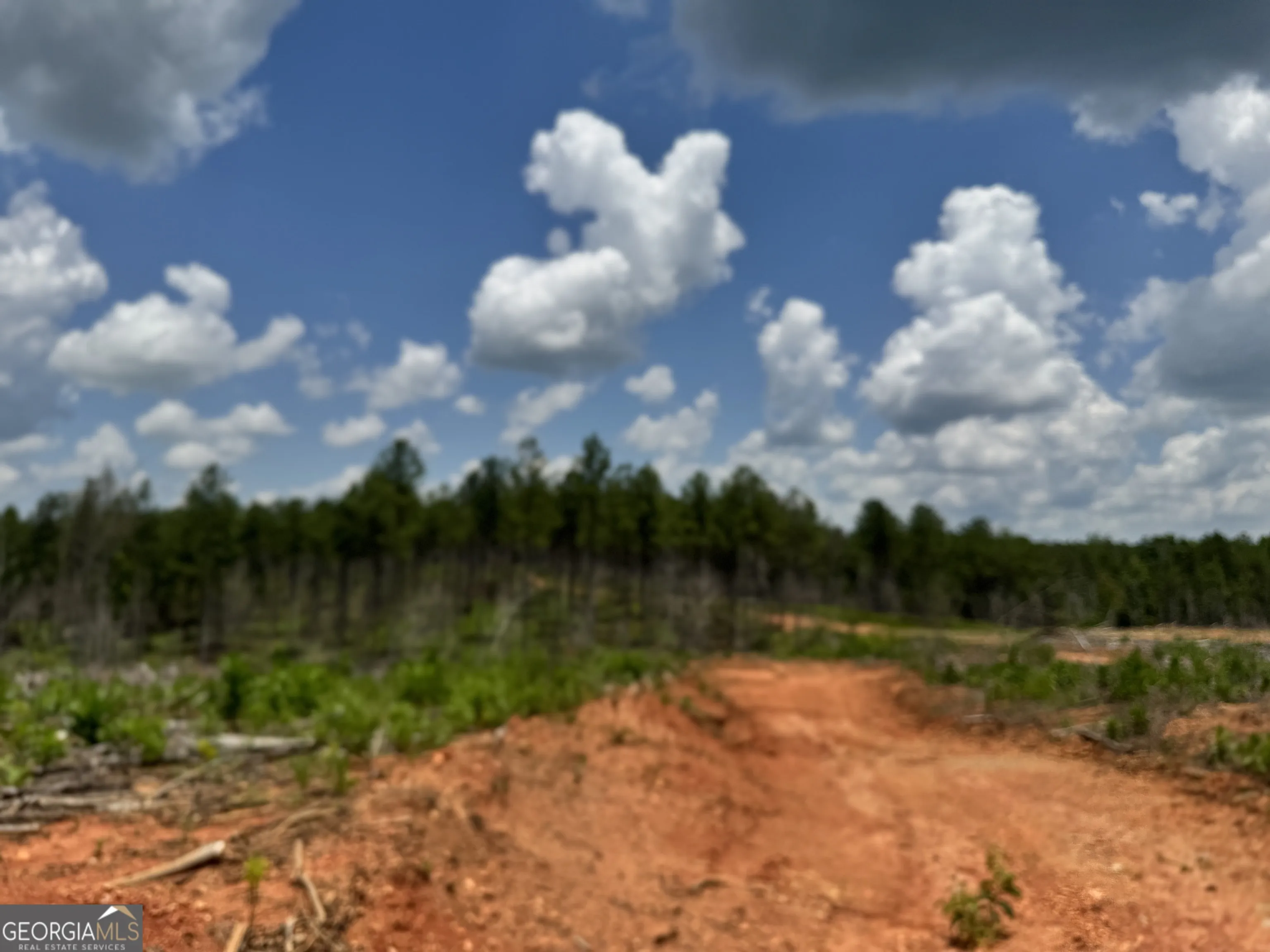 319 +/- Ac Hwy 100 — photo 5 of 15