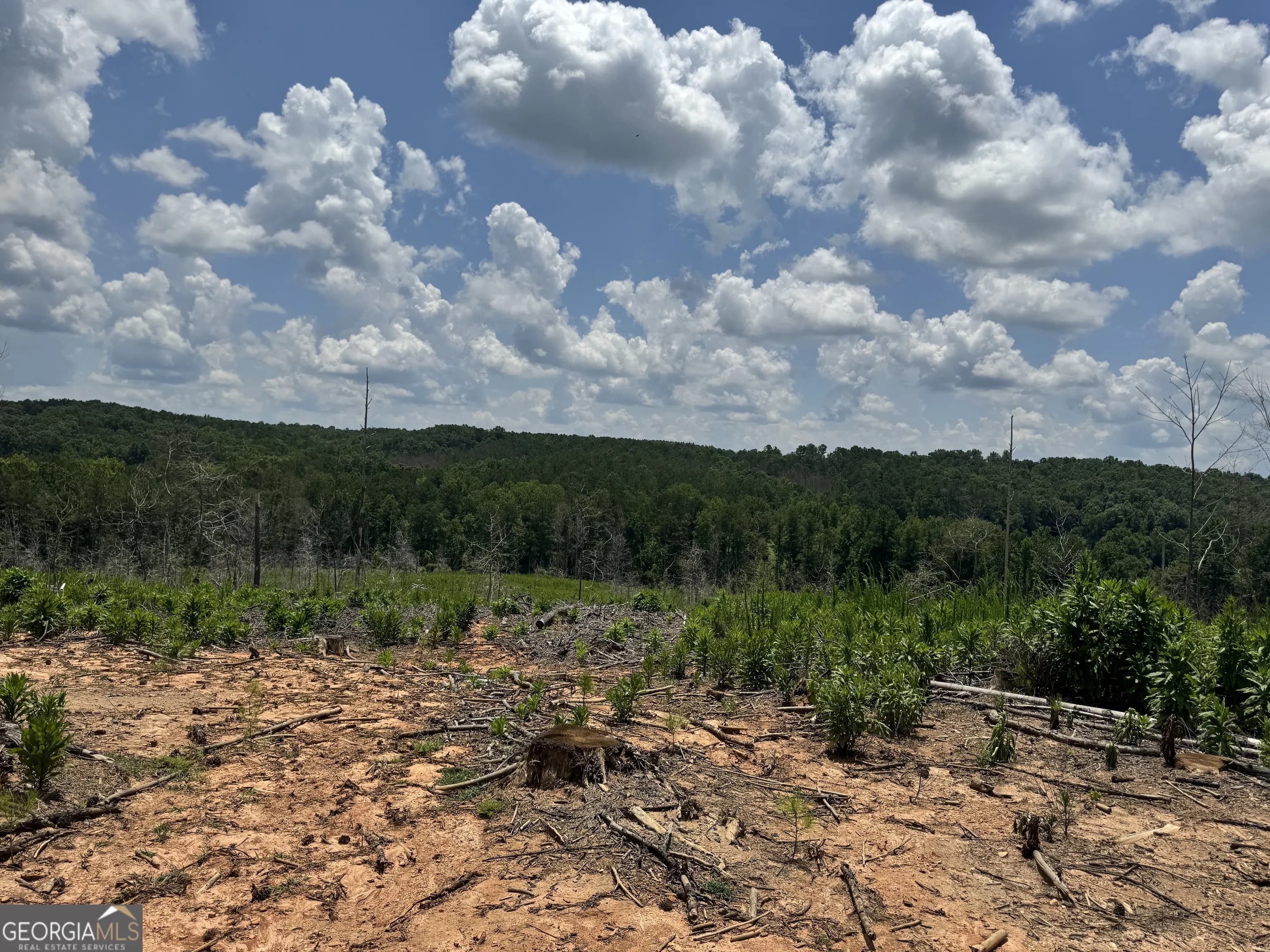 319 +/- Ac Hwy 100 — photo 4 of 15