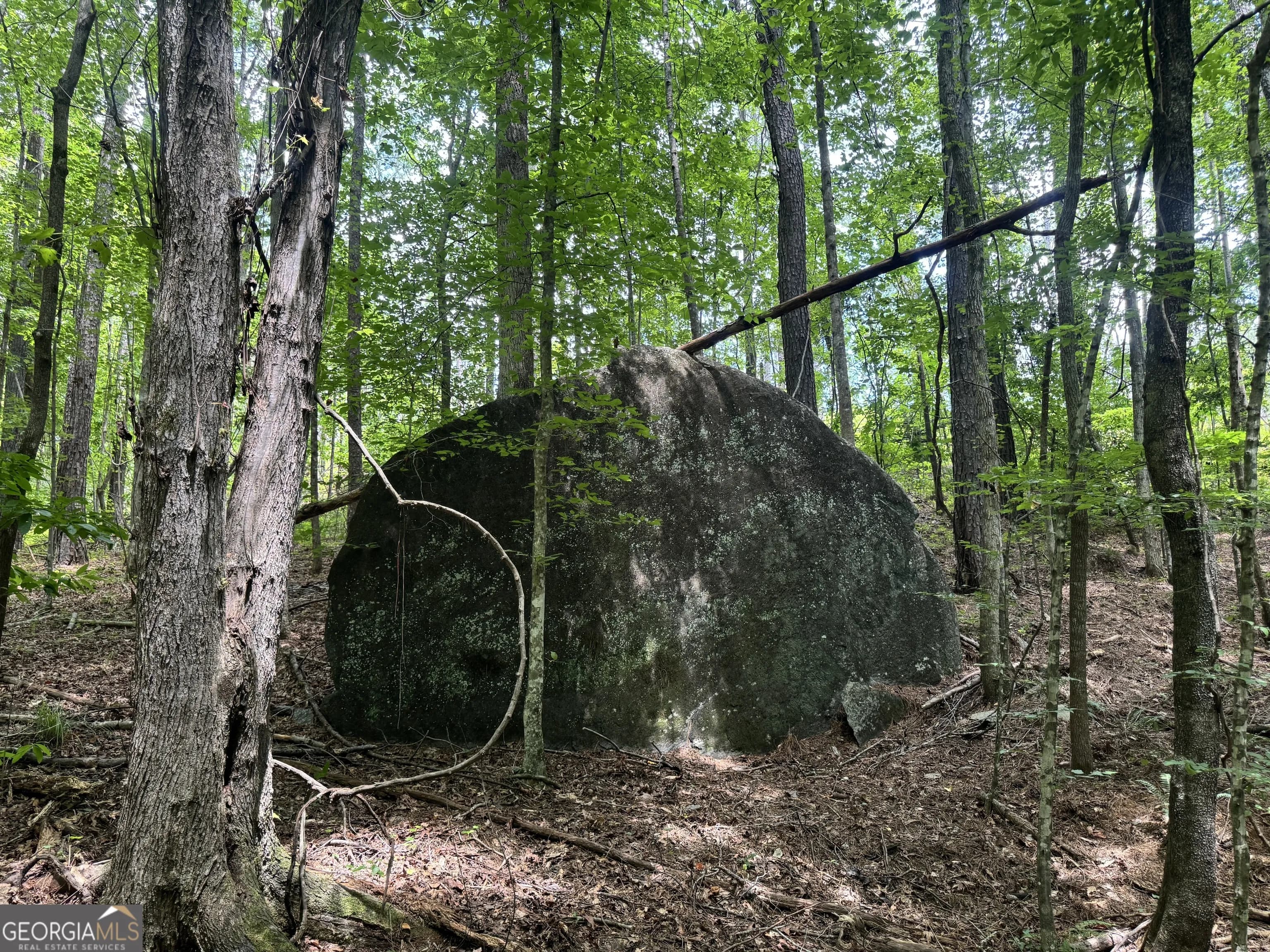 319 +/- Ac Hwy 100 — photo 3 of 15
