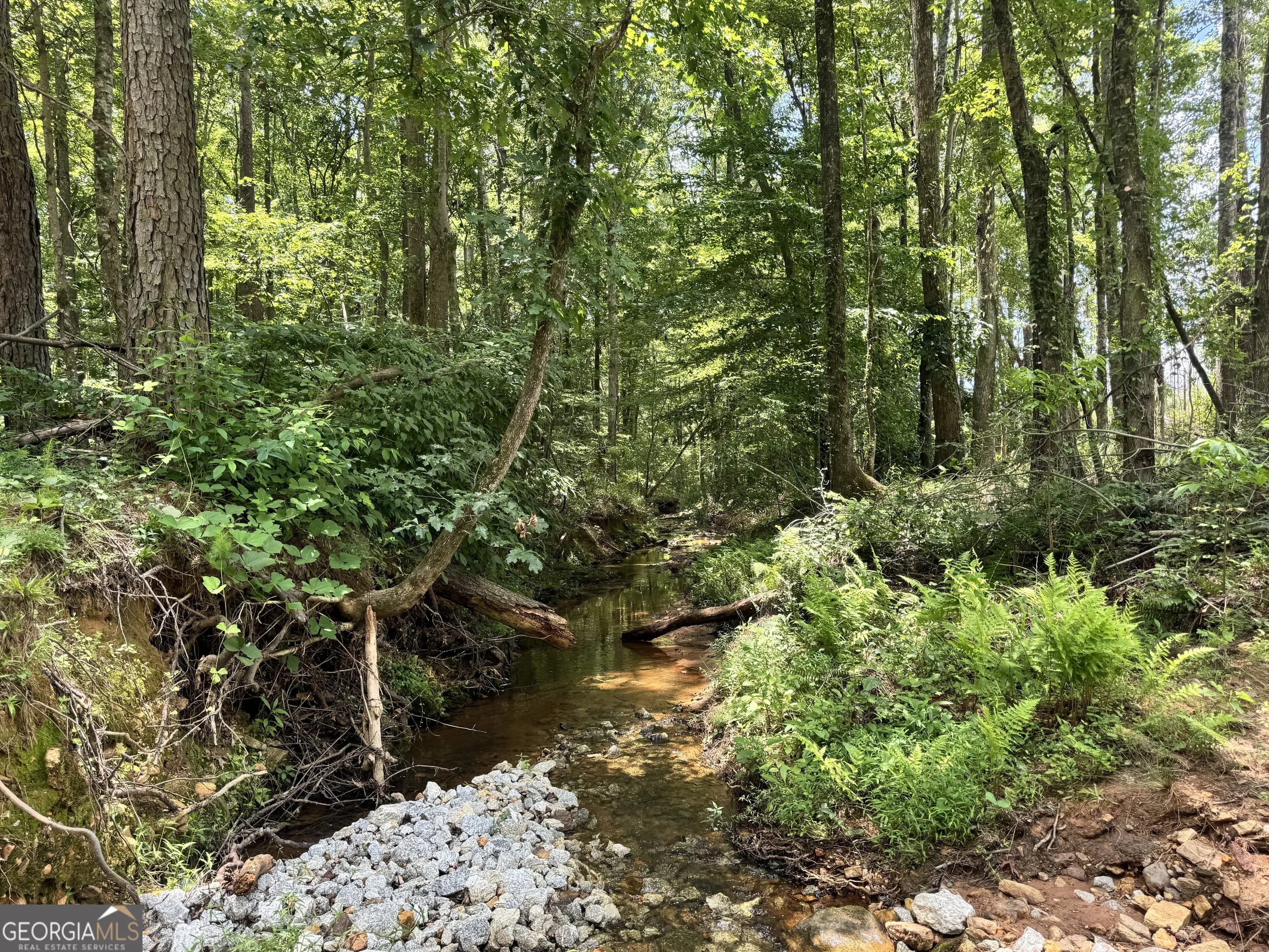 319 +/- Ac Hwy 100 — photo 12 of 15