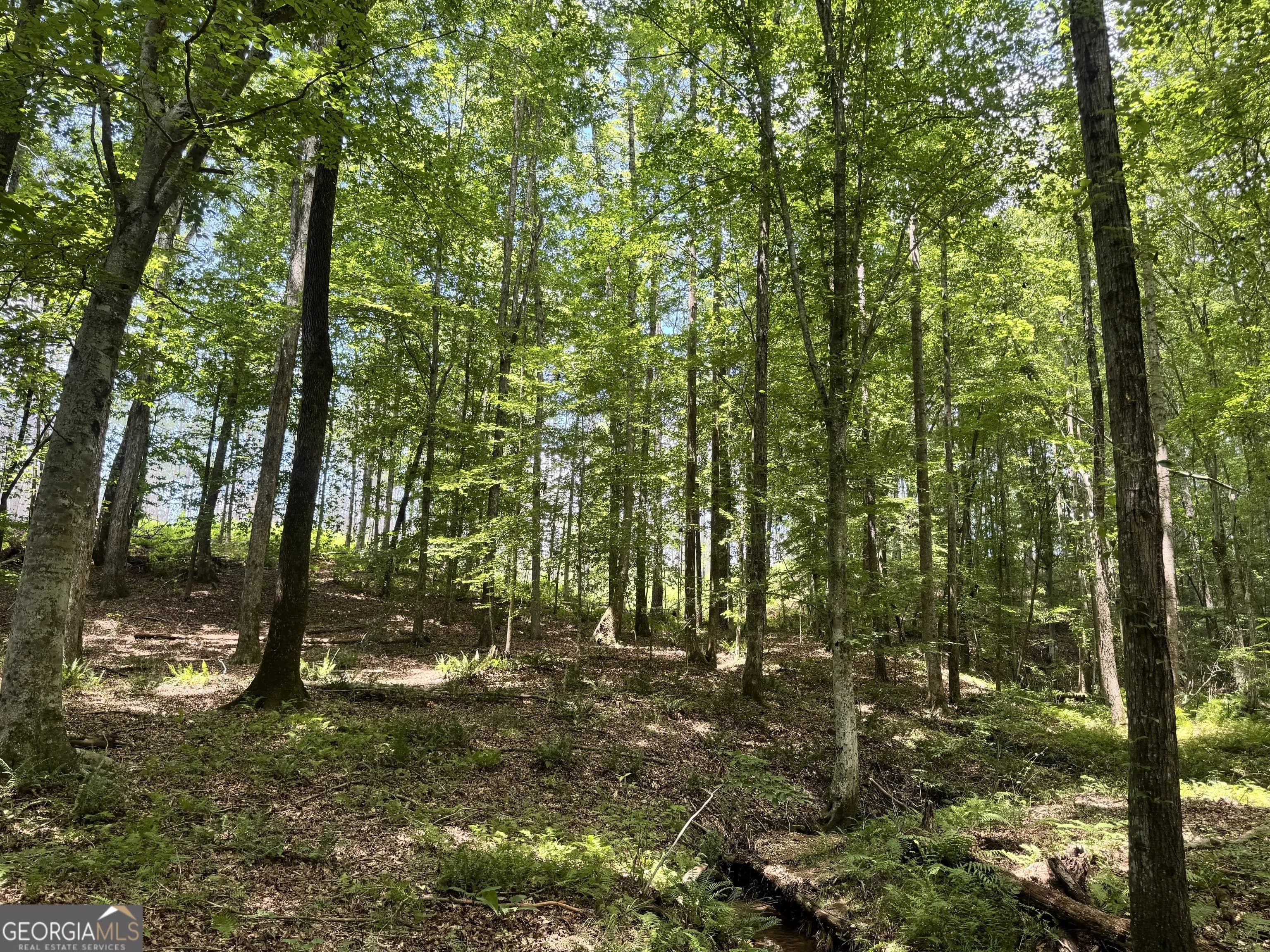319 +/- Ac Hwy 100 — photo 14 of 15