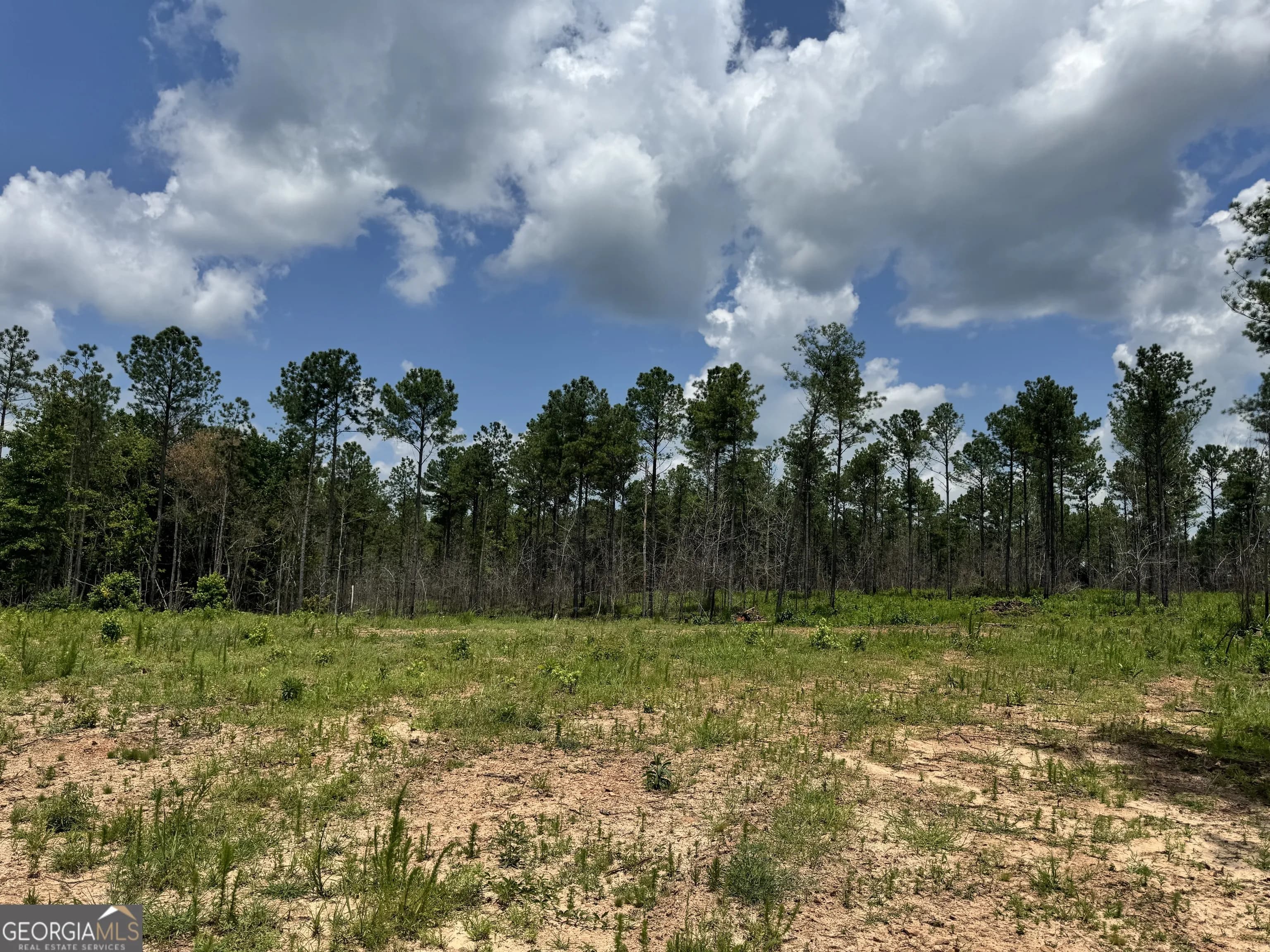 319 +/- Ac Hwy 100 — photo 15 of 15
