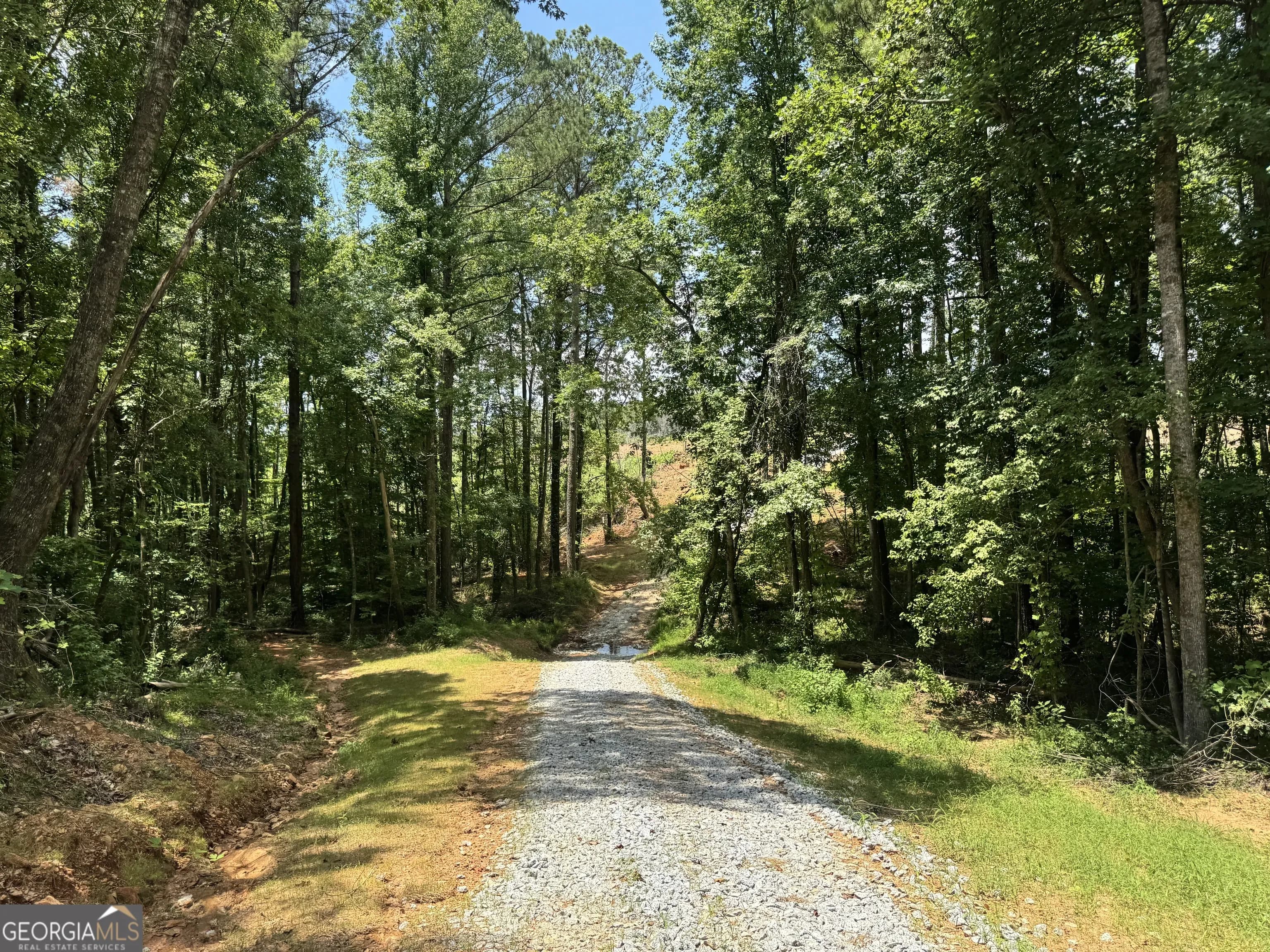 319 +/- Ac Hwy 100 — photo 2 of 15
