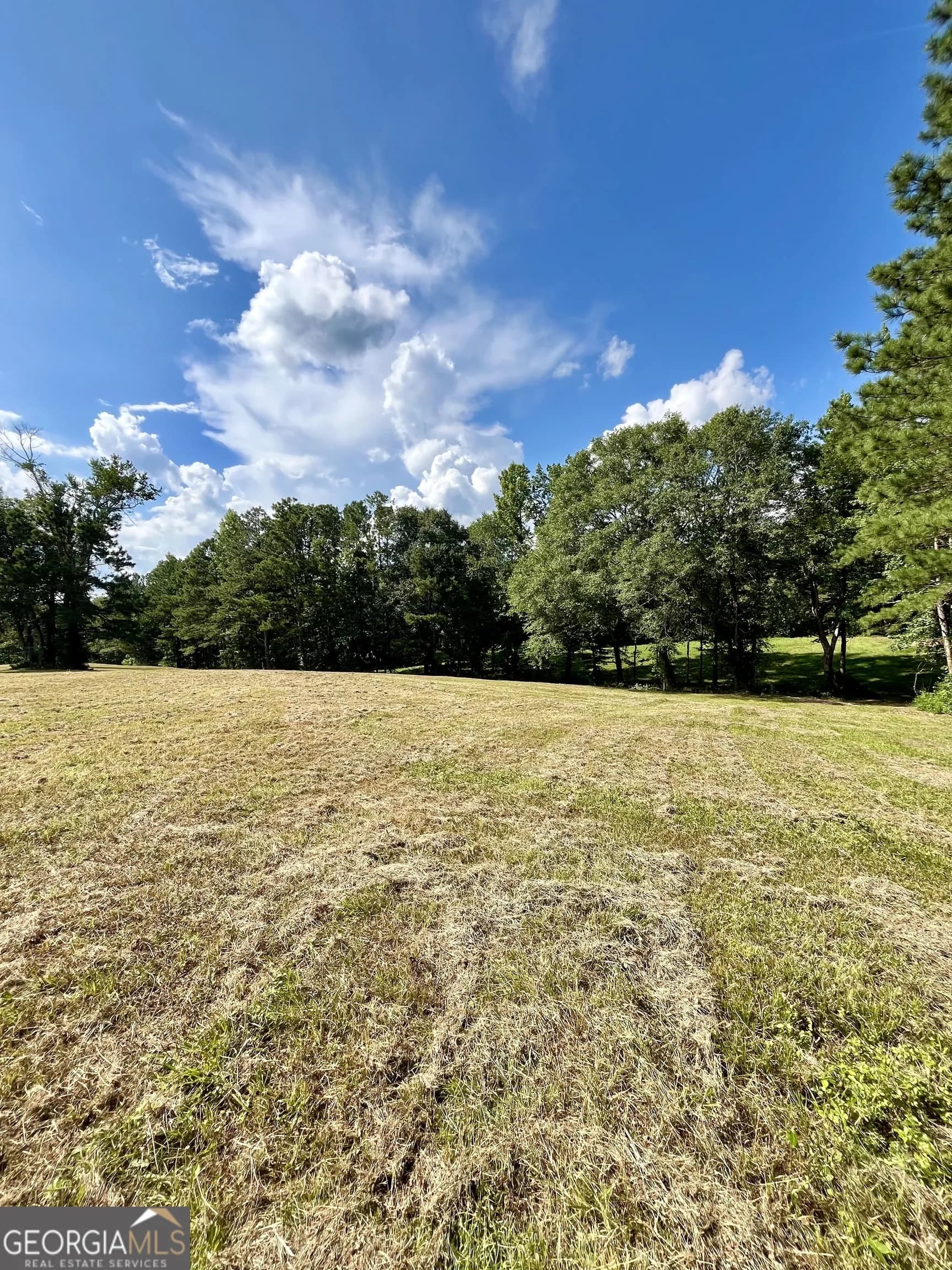 621 Rance Foster Rd — photo 14 of 54
