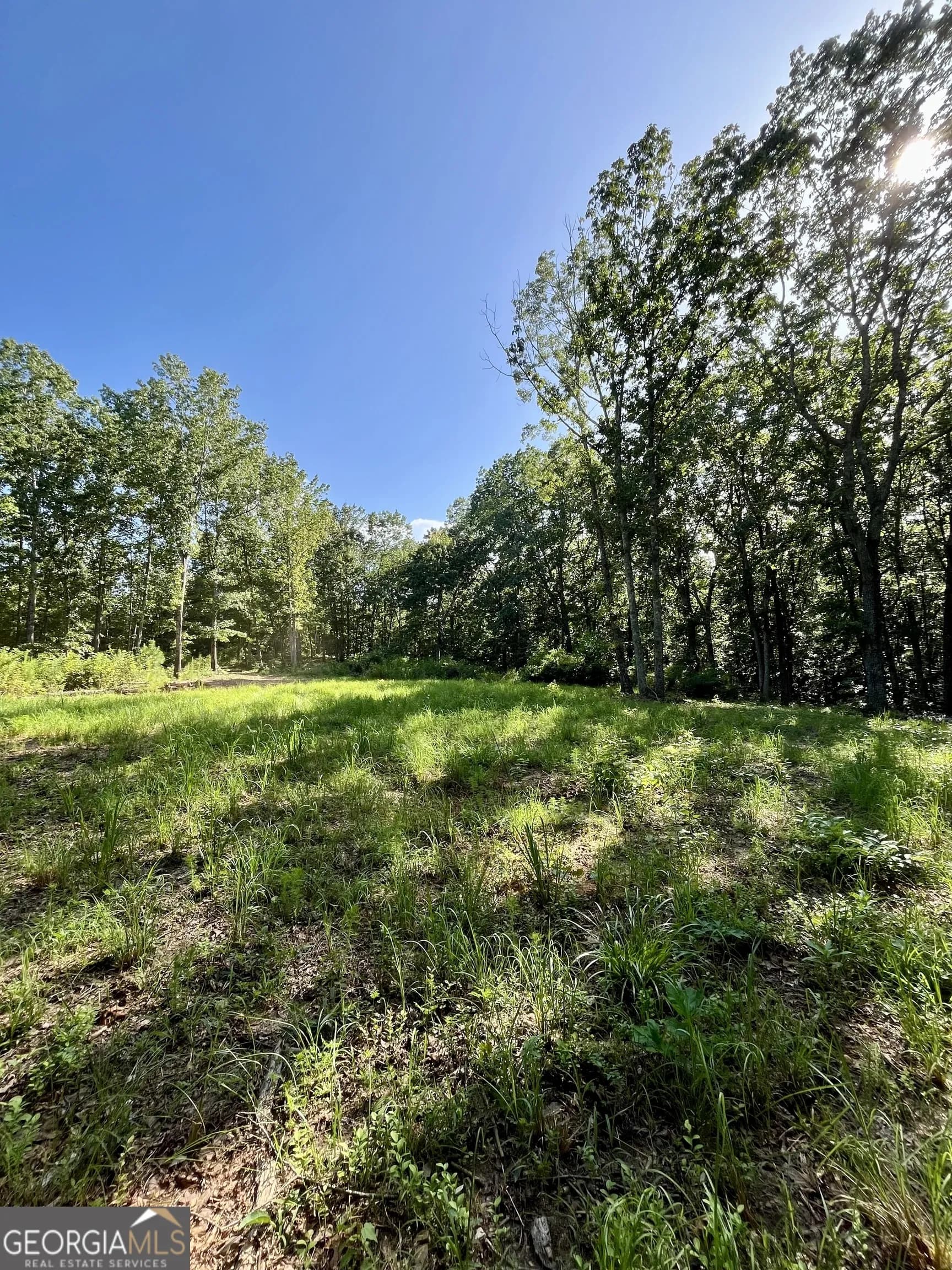 621 Rance Foster Rd — photo 45 of 54