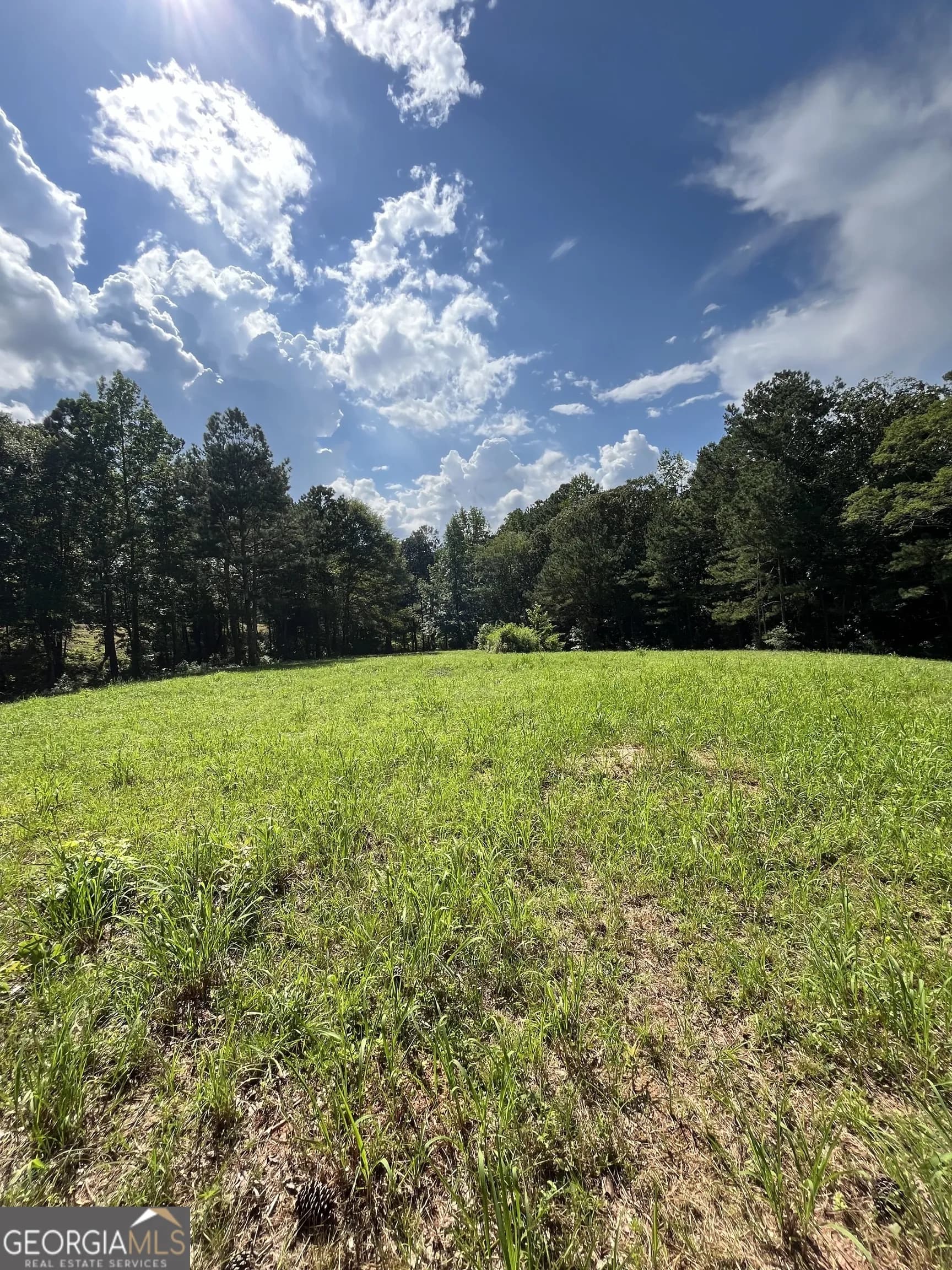 621 Rance Foster Rd — photo 12 of 54