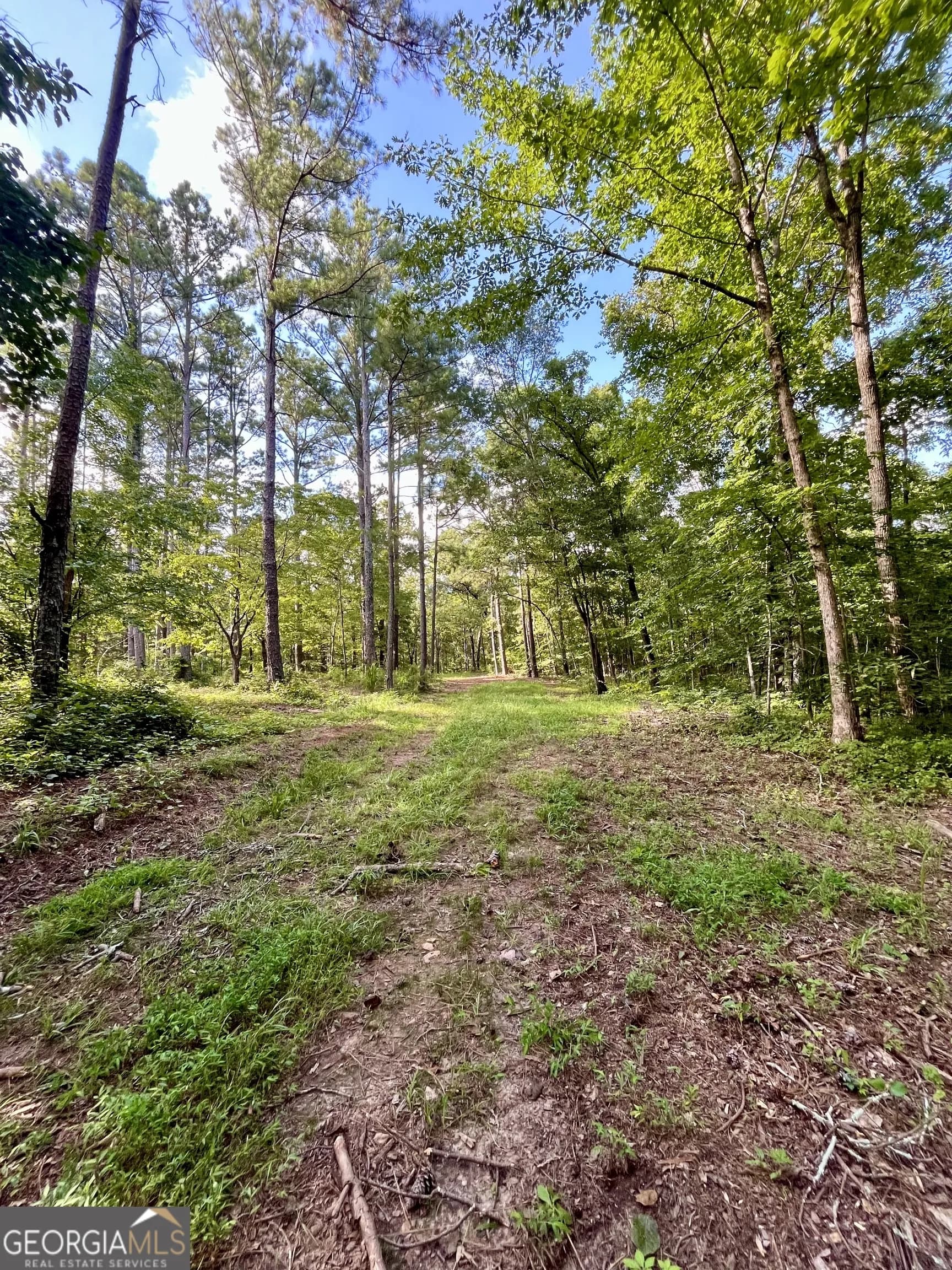 621 Rance Foster Rd — photo 27 of 54