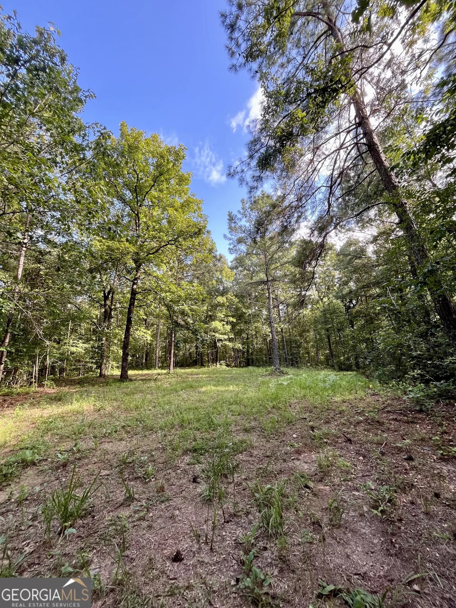 621 Rance Foster Rd — photo 23 of 54
