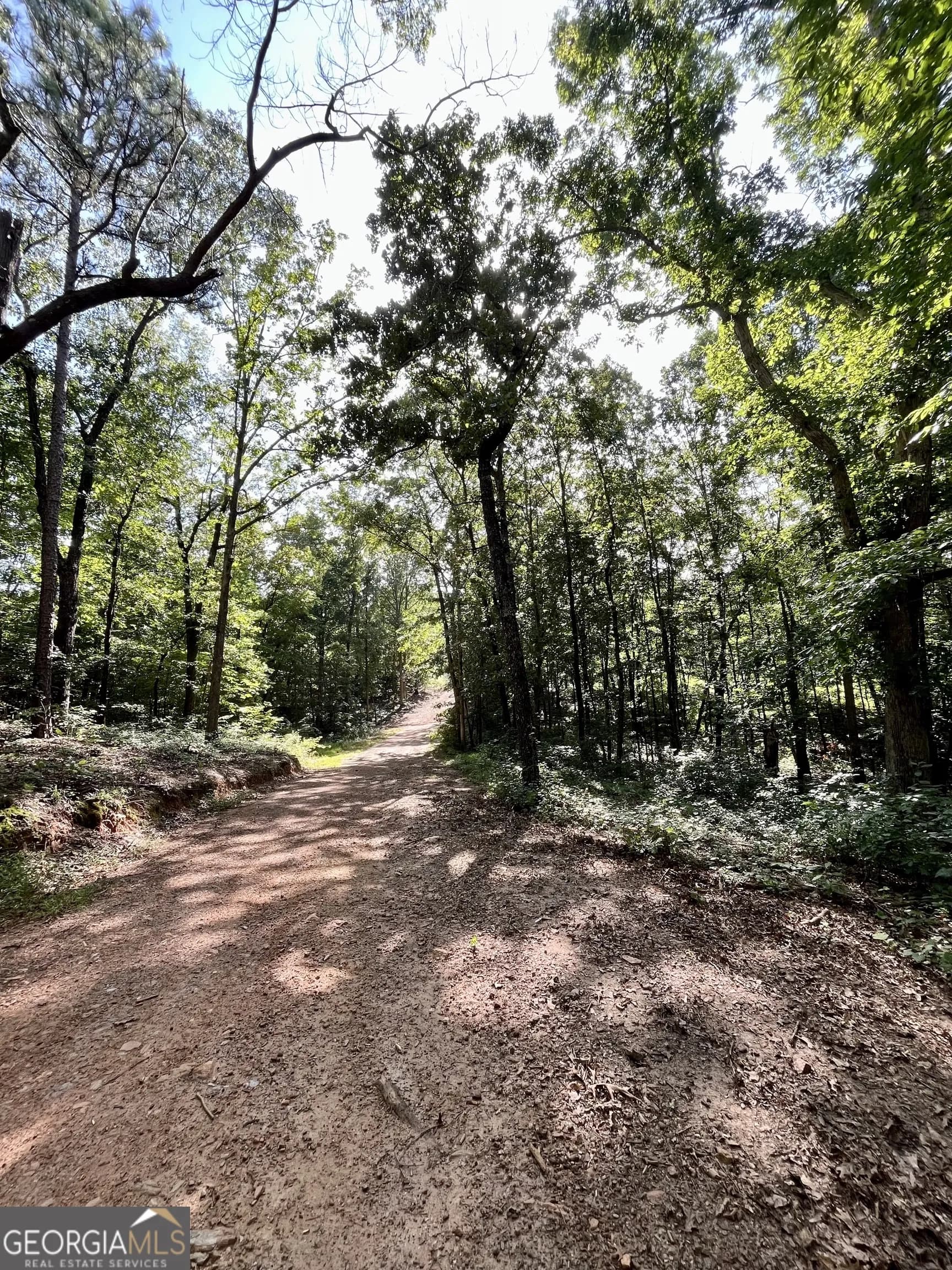 621 Rance Foster Rd — photo 44 of 54