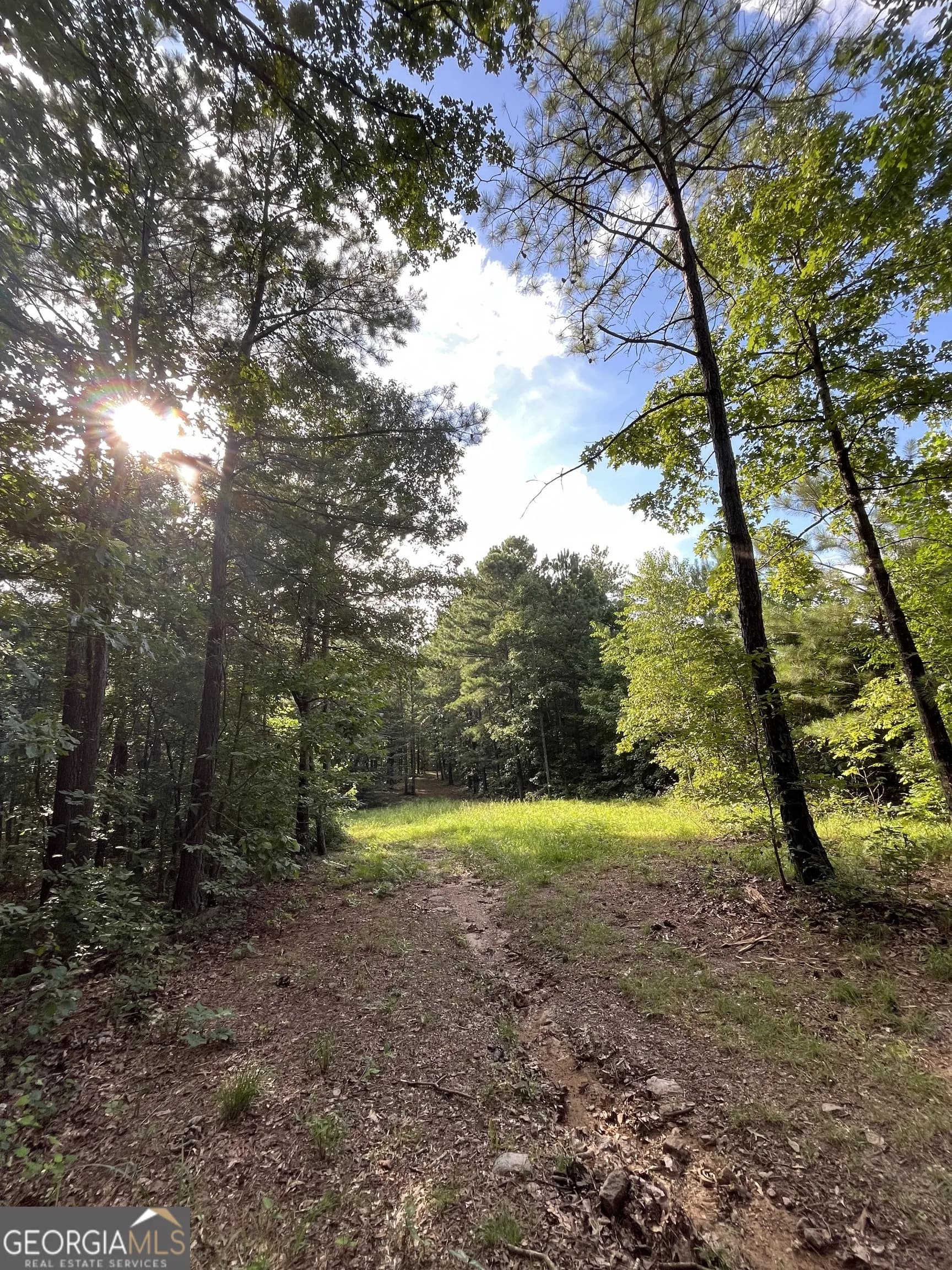 621 Rance Foster Rd — photo 49 of 54