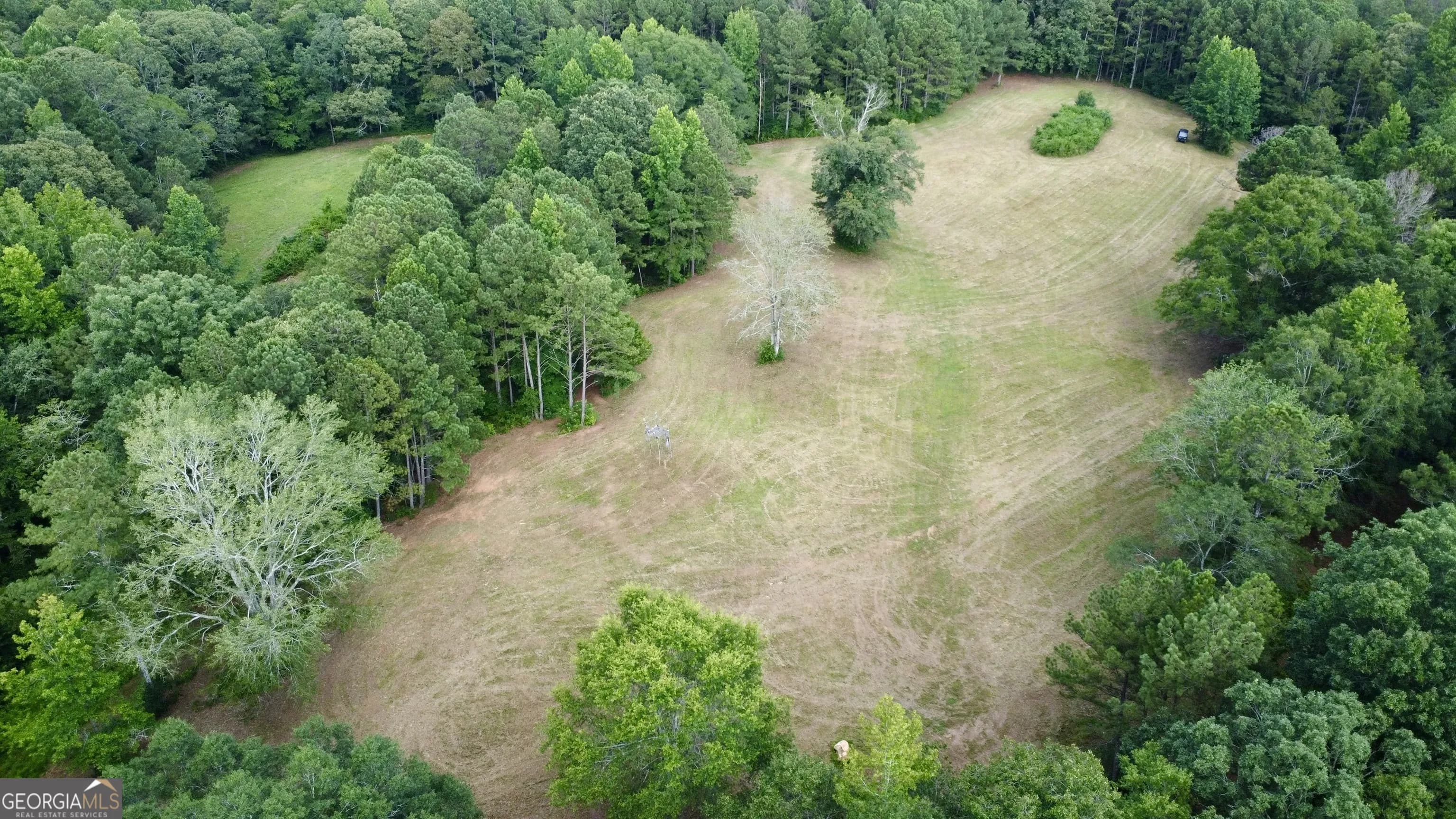 621 Rance Foster Rd — photo 6 of 54