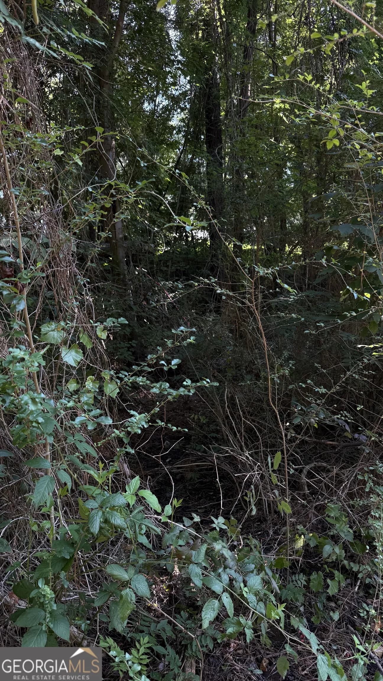 8 Sweetwater Bnd — photo 12 of 12