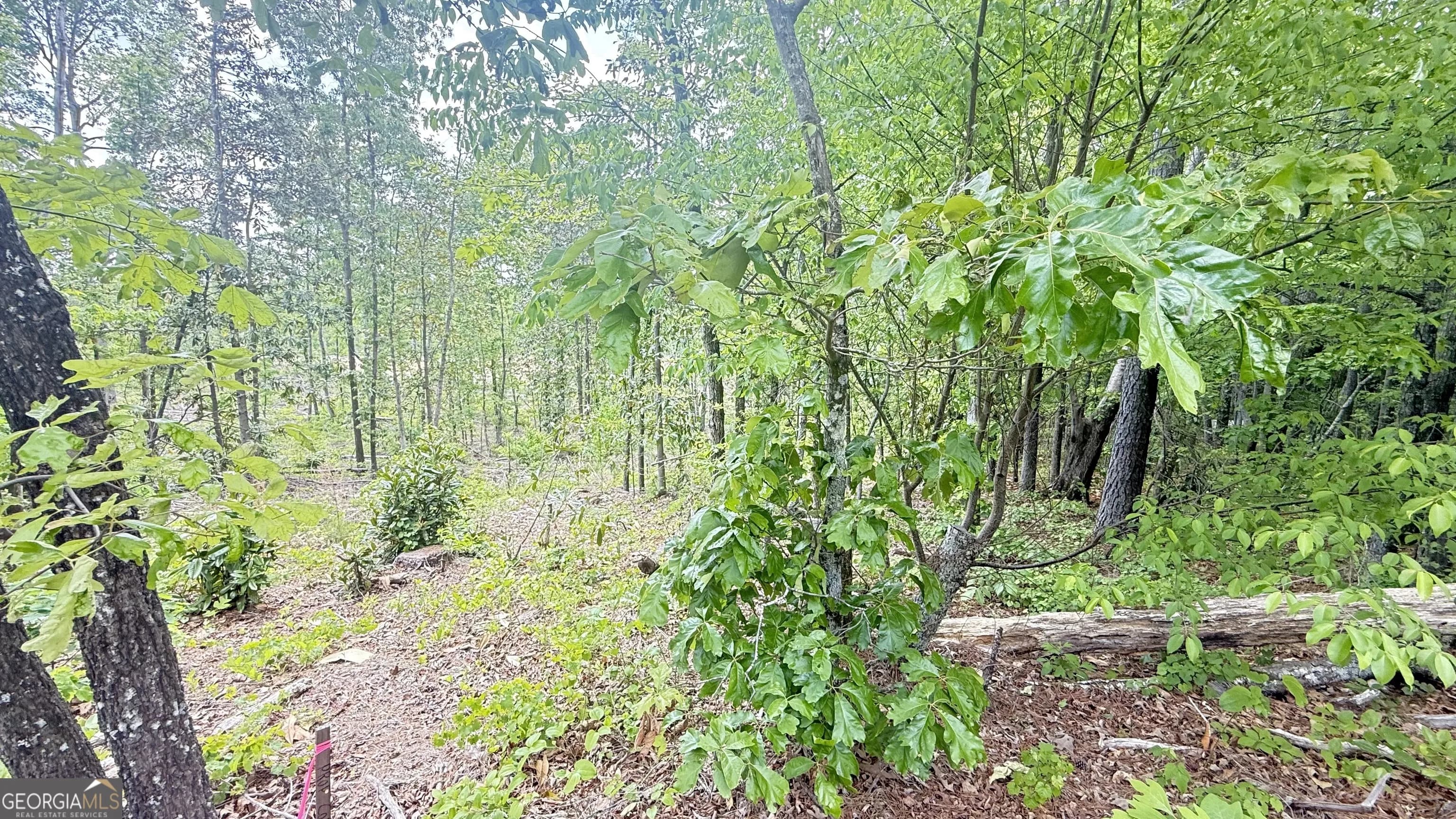 0 Hulseytown Rd — photo 4 of 5
