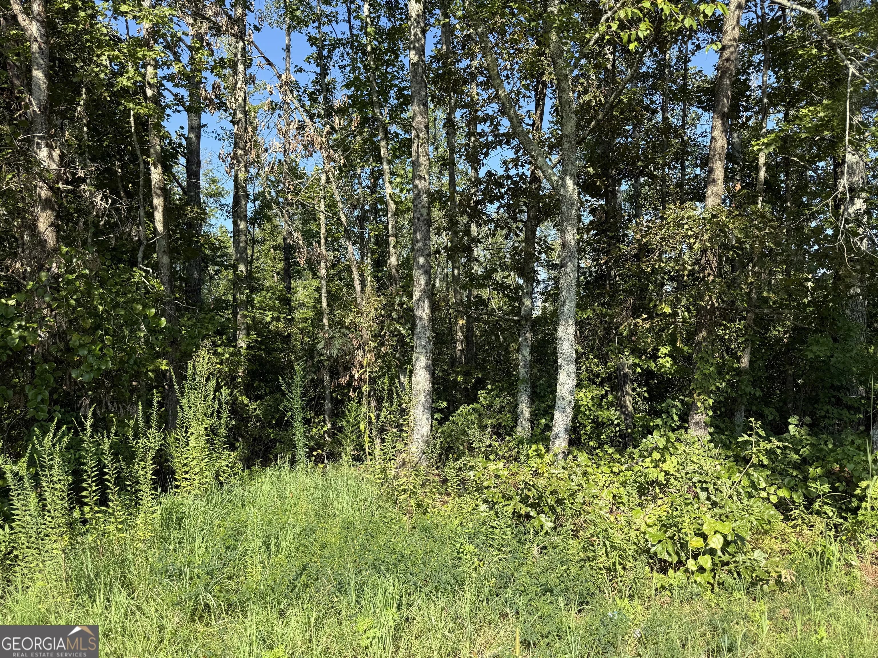 0 N Ga Highway 113 — photo 8 of 15
