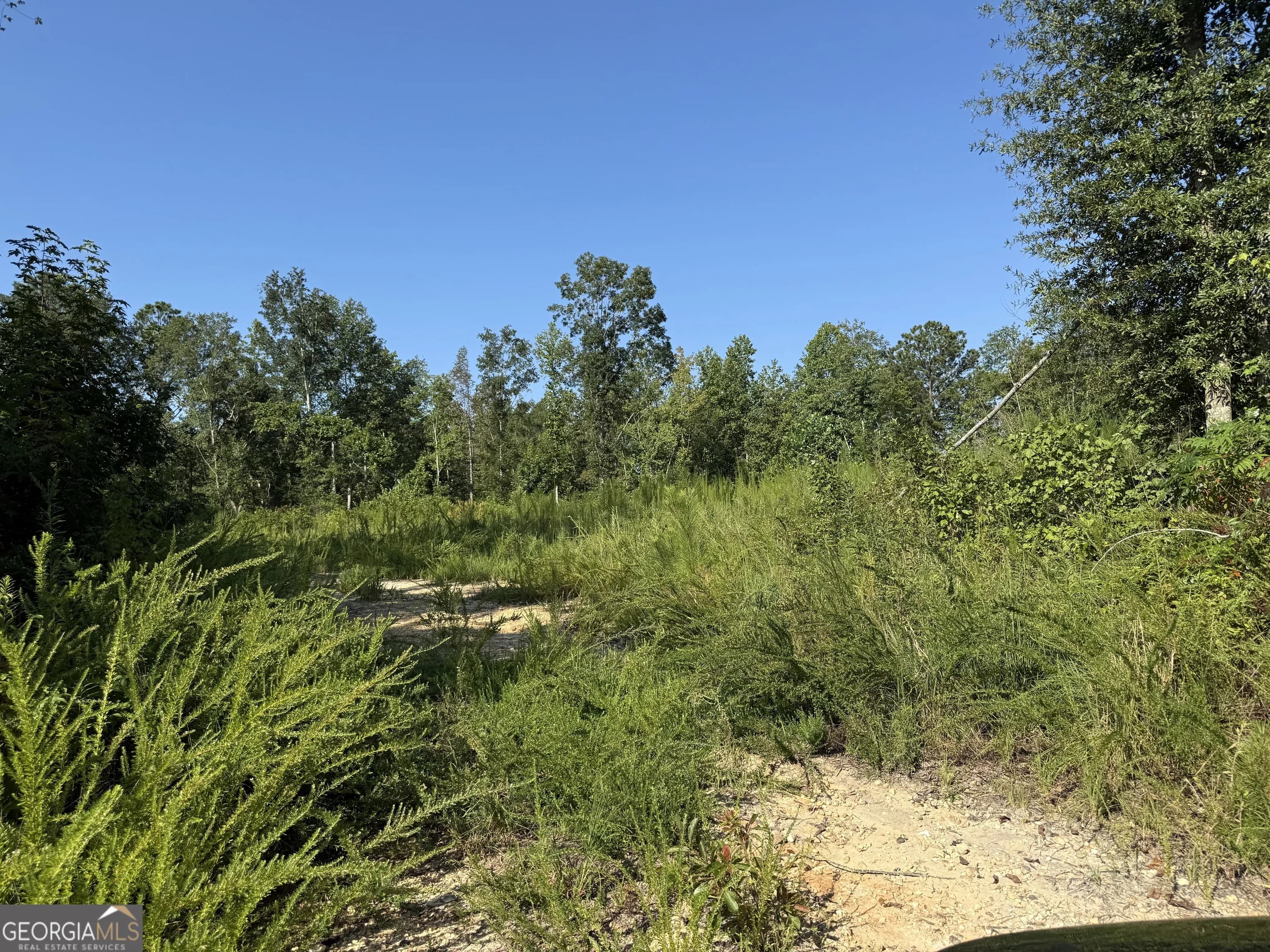 0 N Ga Highway 113 — photo 14 of 15
