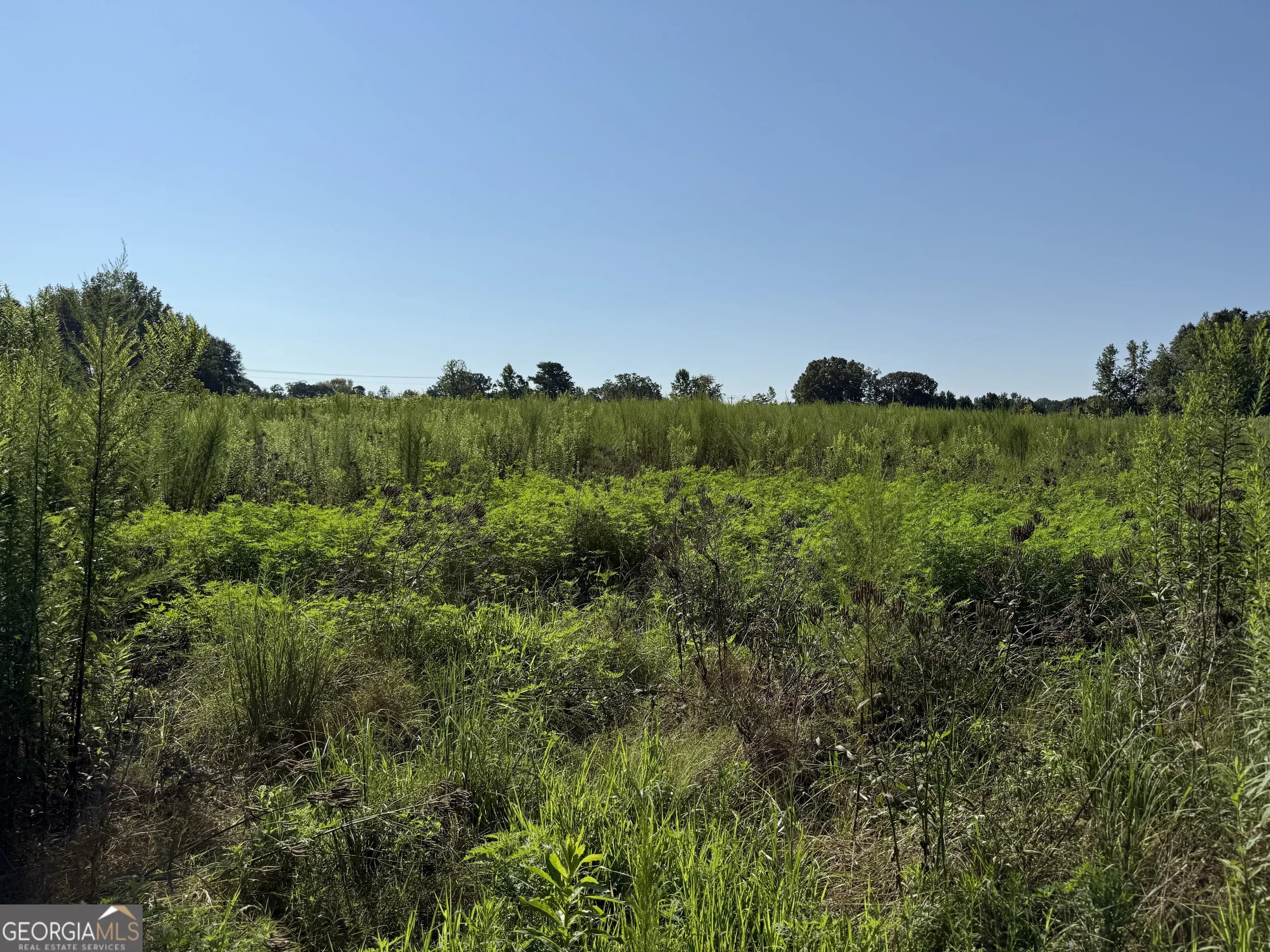 0 N Ga Highway 113 — photo 13 of 15