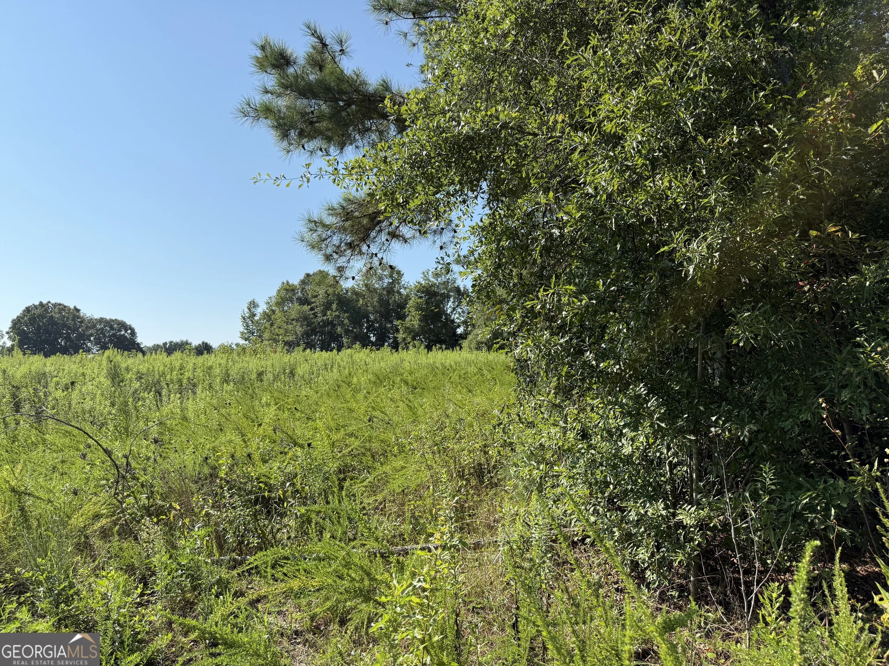 0 N Ga Highway 113 — photo 15 of 15