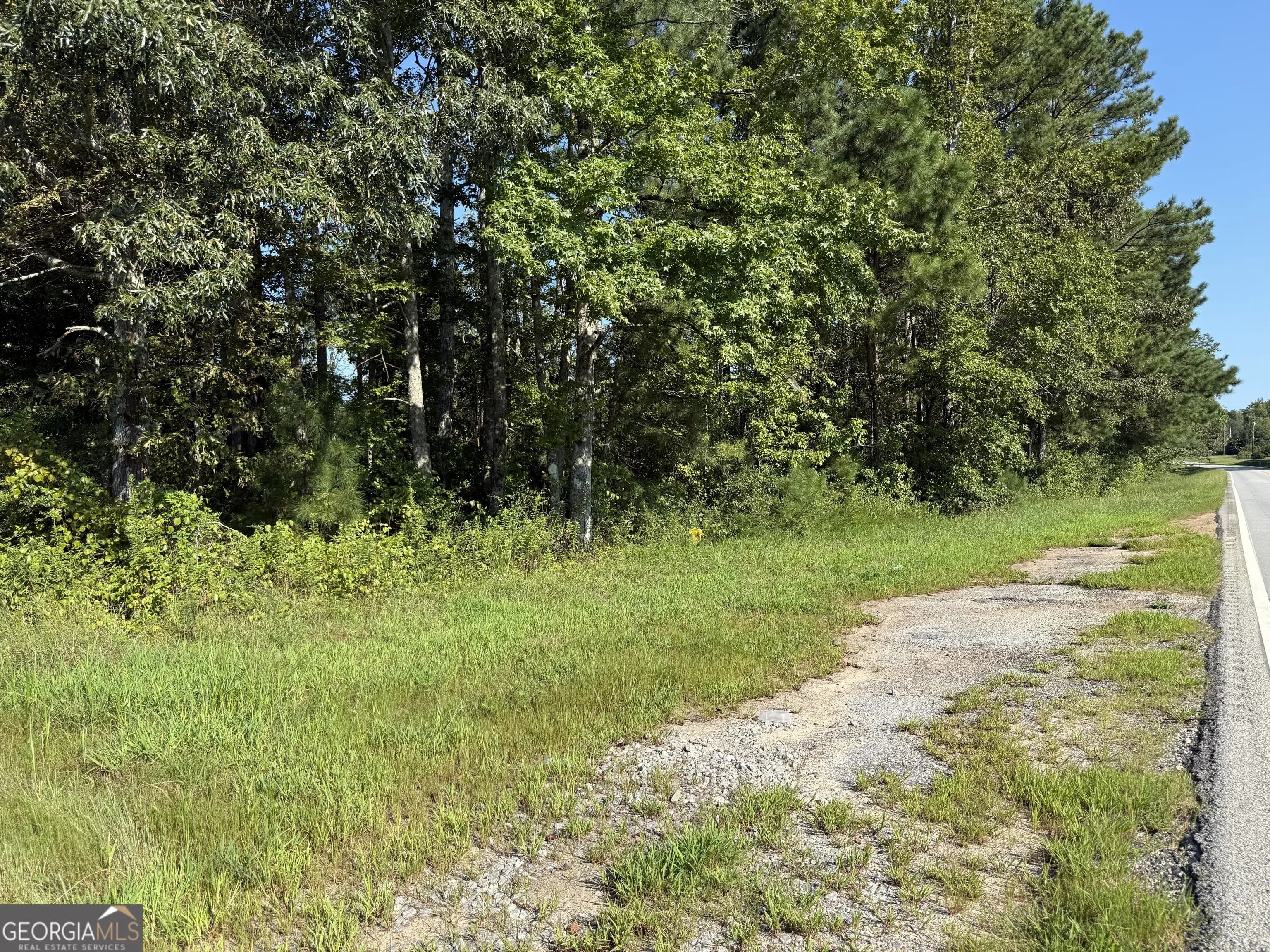 0 N Ga Highway 113 — photo 11 of 15