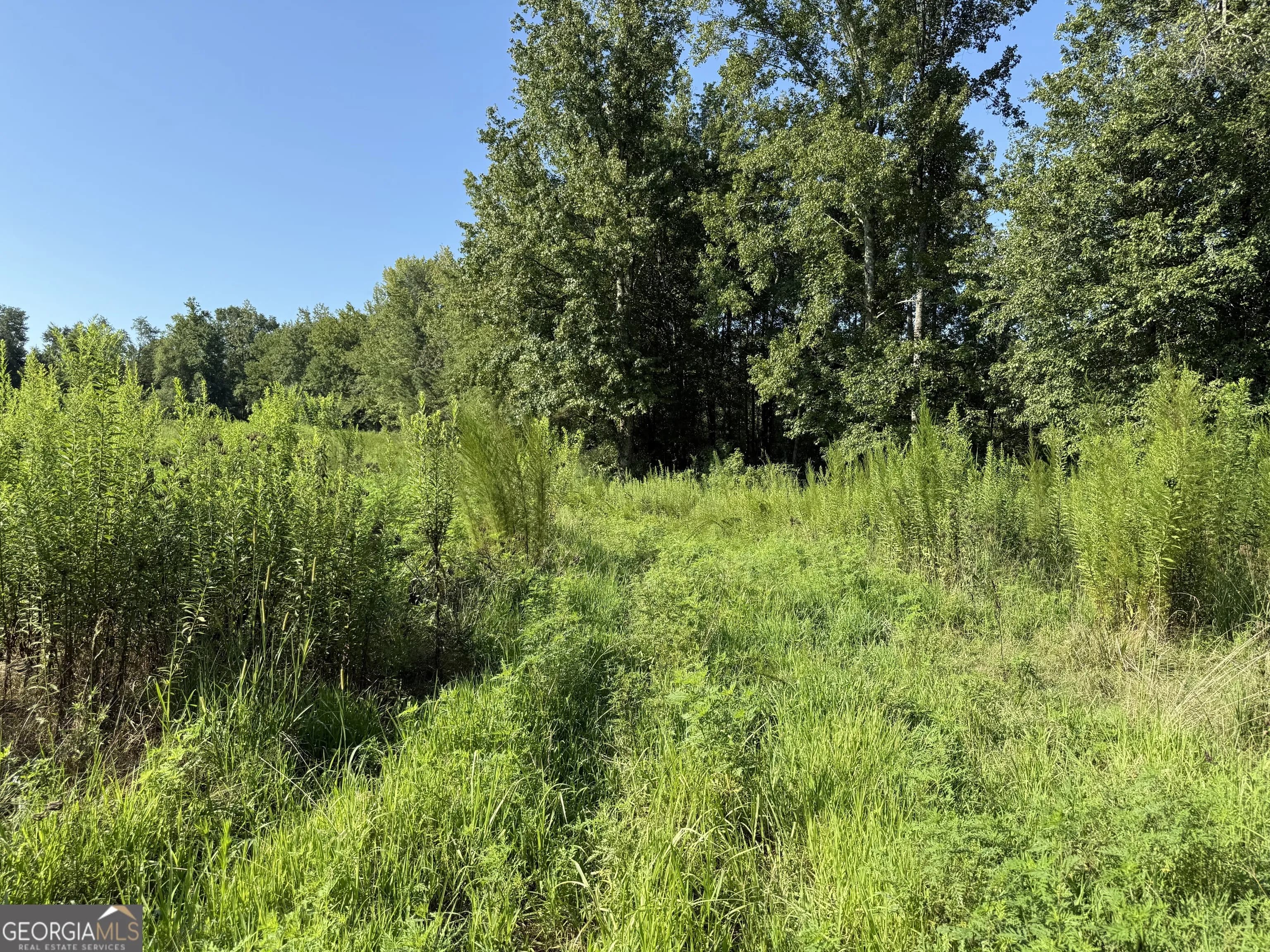 0 N Ga Highway 113 — photo 5 of 15