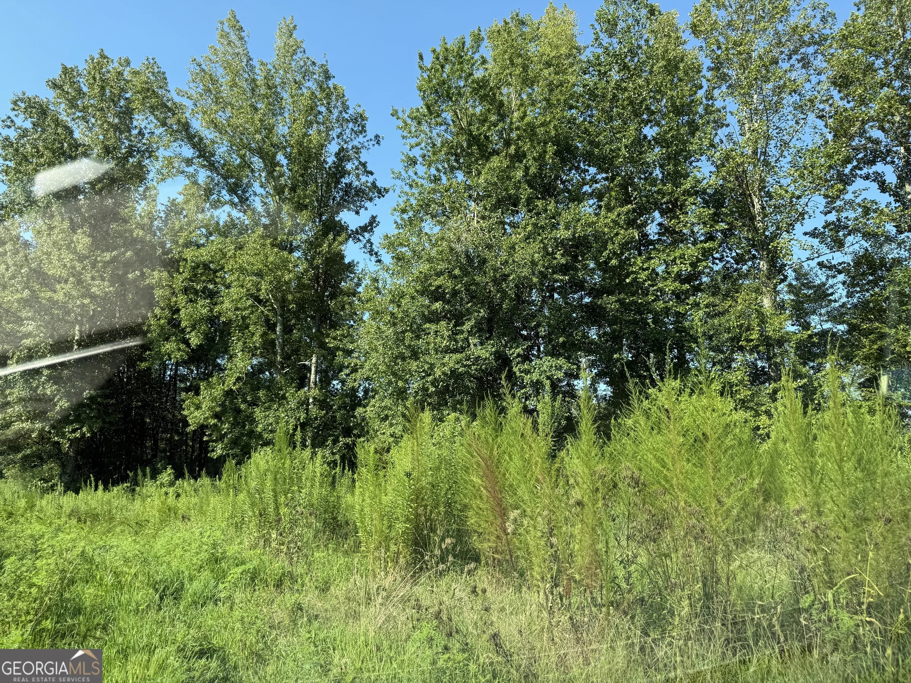 0 N Ga Highway 113 — photo 4 of 15