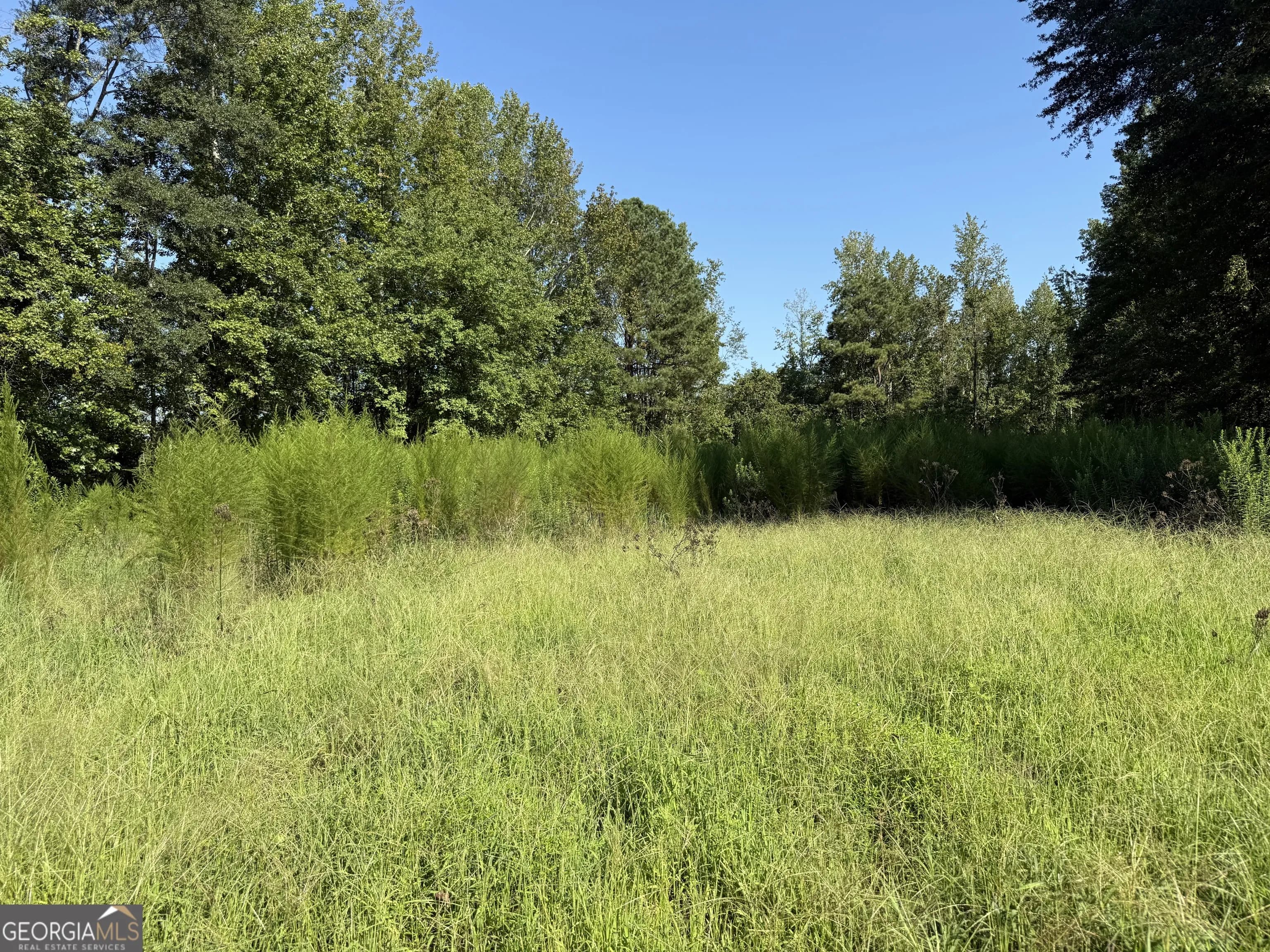 0 N Ga Highway 113 — photo 2 of 15