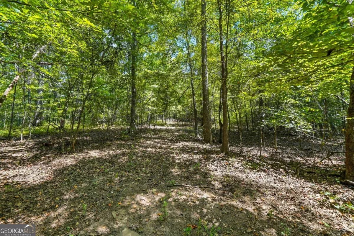 0 Sleepy Hollow Dr — photo 10 of 11